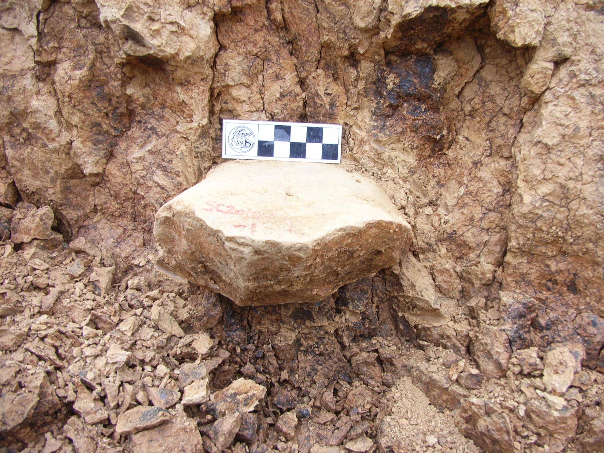 One of the tools from the discovery site in Shangchen, China