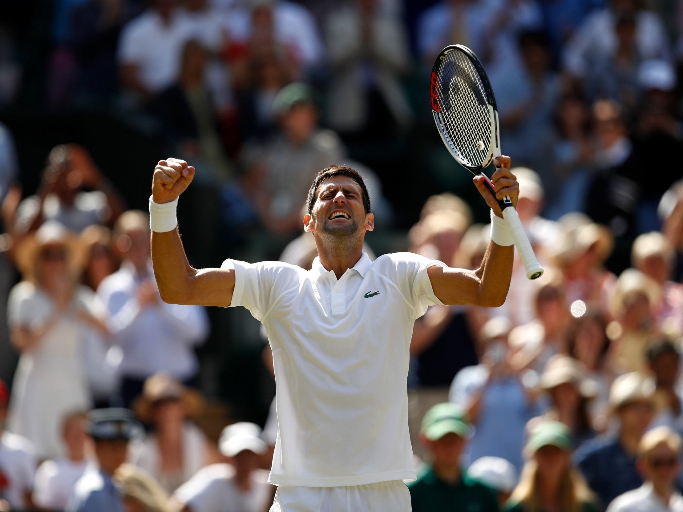 Djokovic insists he is feeling back to full fitness after recovering from elbow surgery