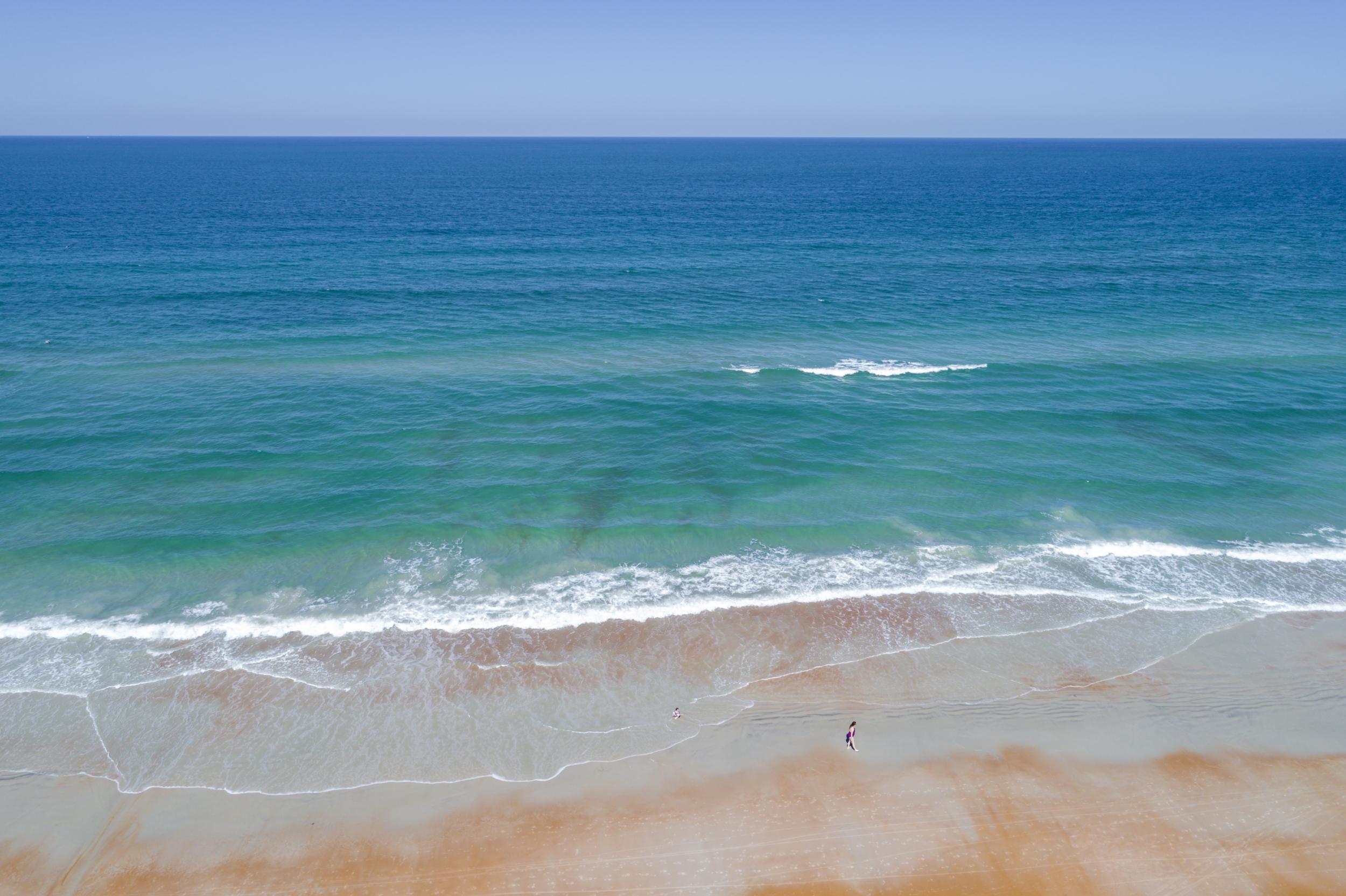 Two people were reportedly bitten by sharks in one city in Florida