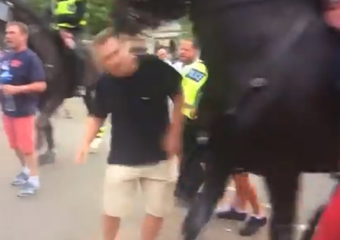 A man at a rally in support of former EDL leader Tommy Robinson is headbutted by a police horse