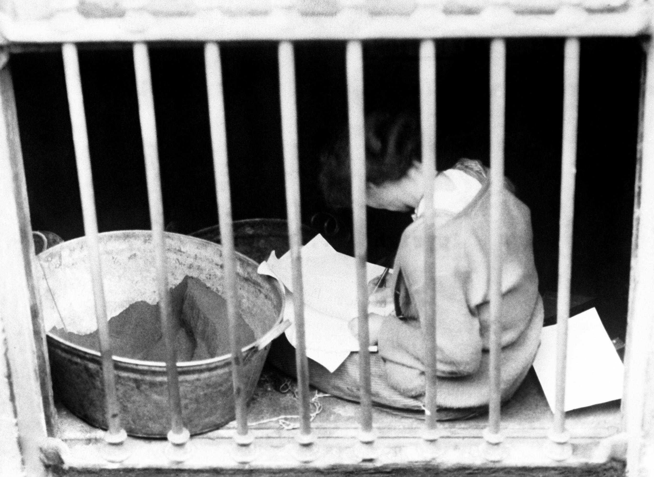 Constance Markievicz writes a letter from a prison cell in Dubline