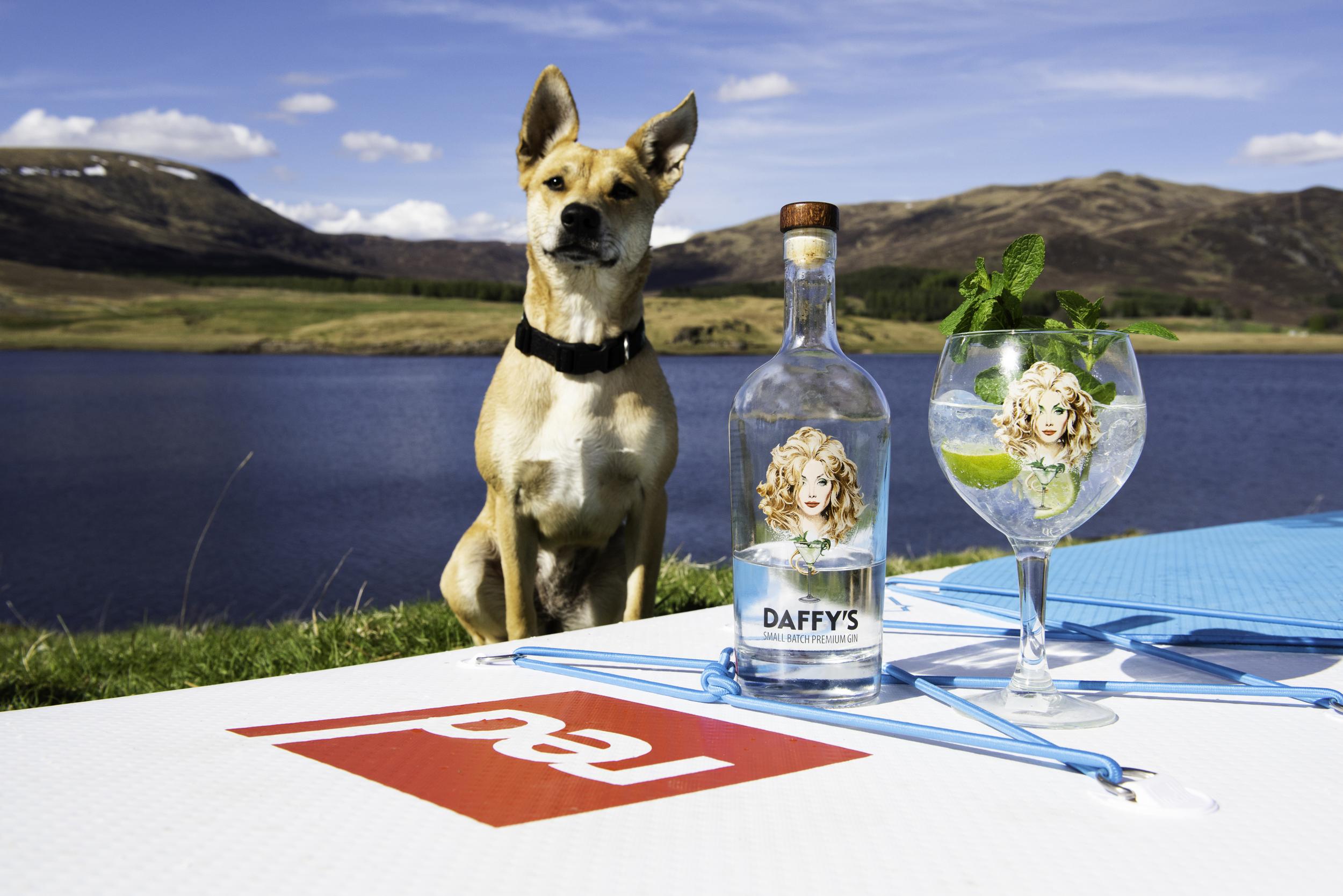 Combine gin foraging and stand up paddleboarding in the Cairngorms