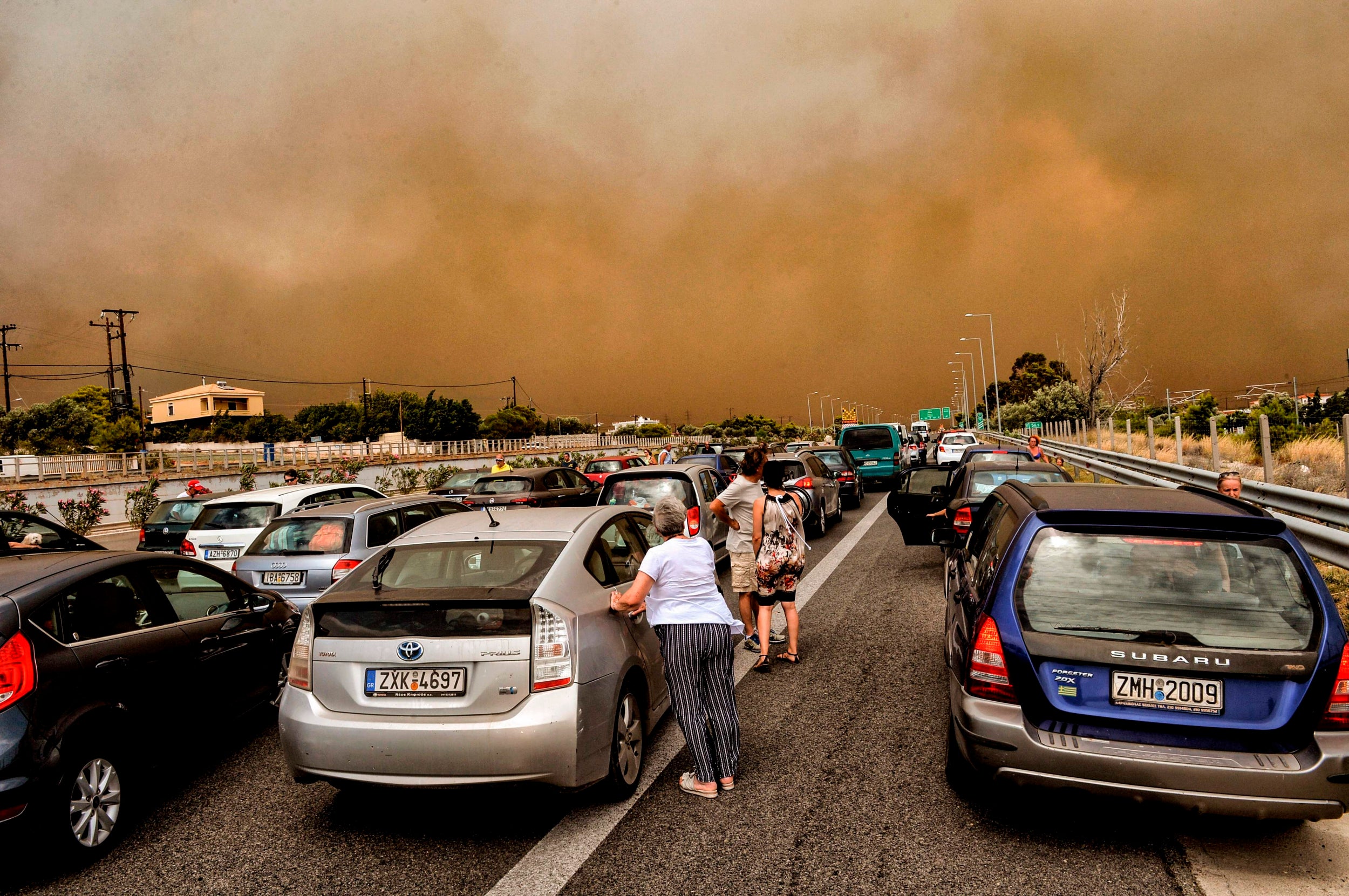 While wildfires in Greece (pictured), Australia, Indonesia and many other countries have wrought chaos to infrastructure, economies and cost lives