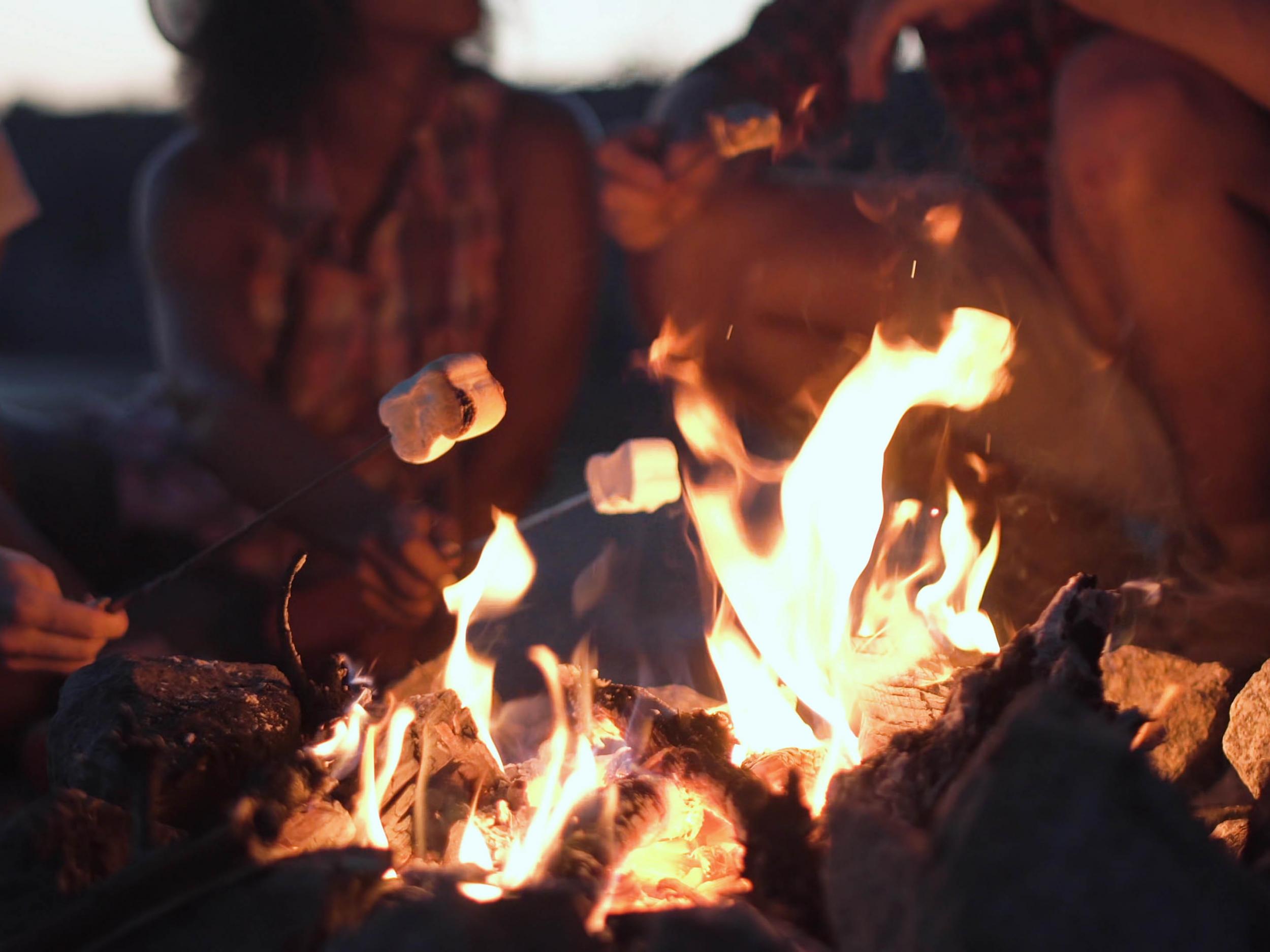 The marshmallow gets its name from a plant called – you’ve guessed it – the marsh mallow