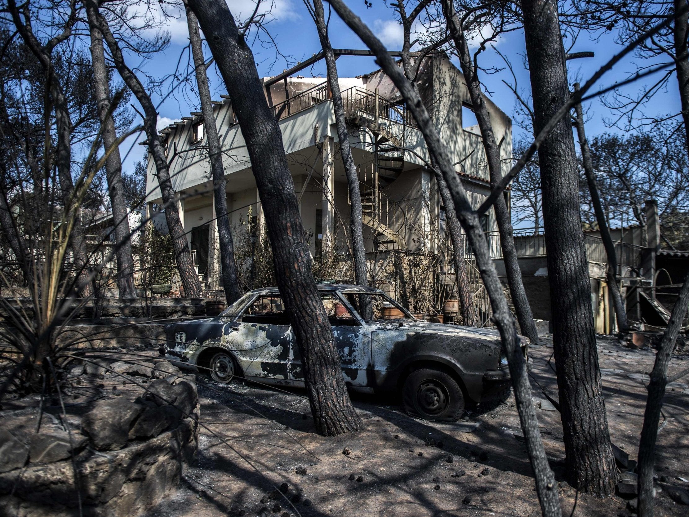 Cars burnt following a wildfire in the village of Mati, near Athens (AFP/Getty)