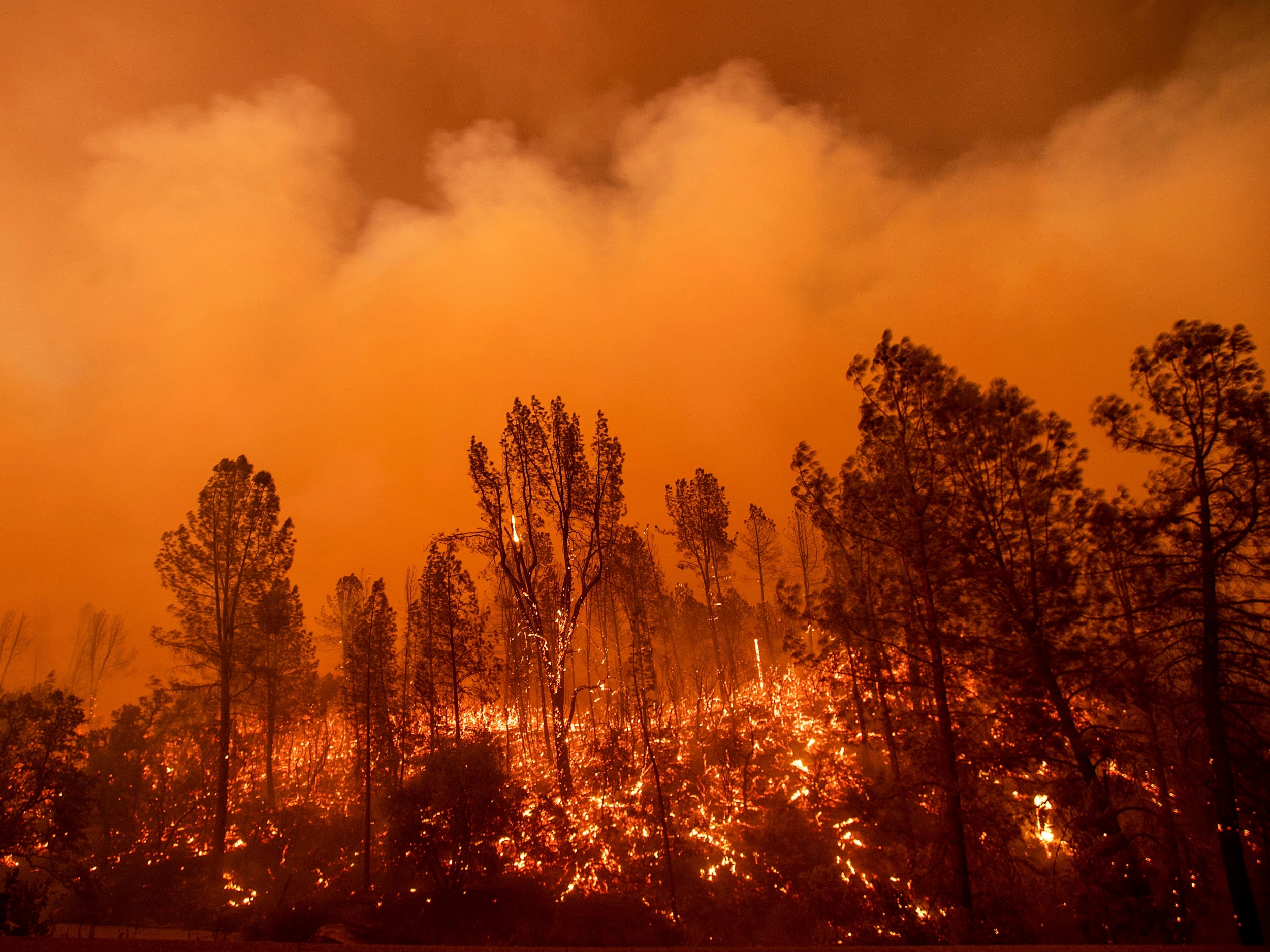 California wildfire, sparked by, er, sparks