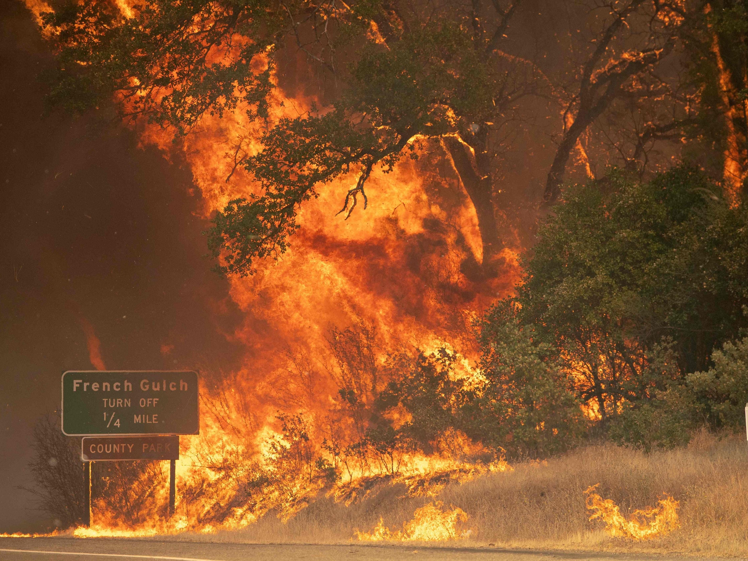 In this decade, humans have become ever more aware of climate change. Calls for leaders to act echo around the globe as the signs of a changing climate become ever more difficult to ignore