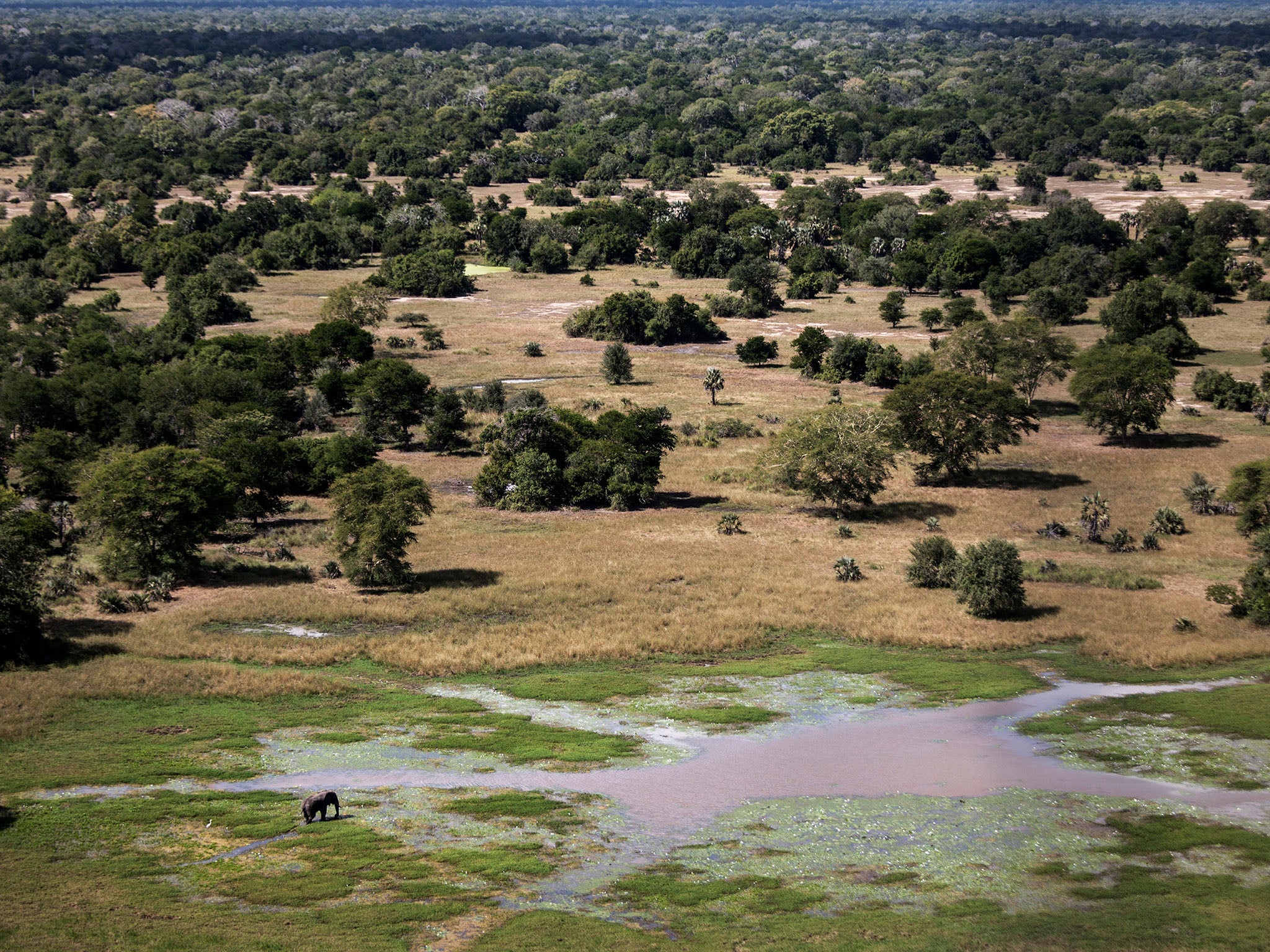 The wildlife in the national park was nearly destroyed as a result of years of fighting