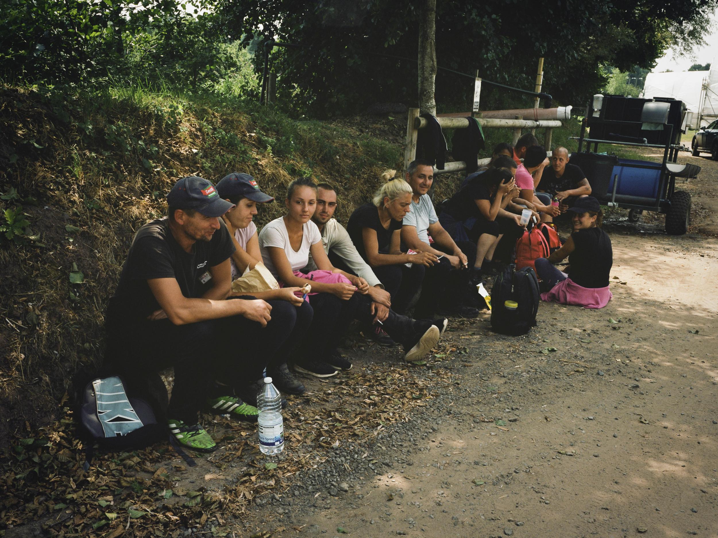 For workers at the Snell farm, the days typically start at 5am and end late in the afternoon