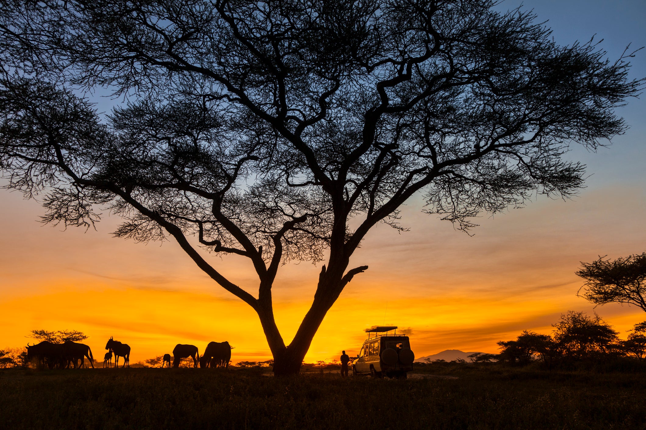 Witness breathtaking sunsets and sunrises in Kenya