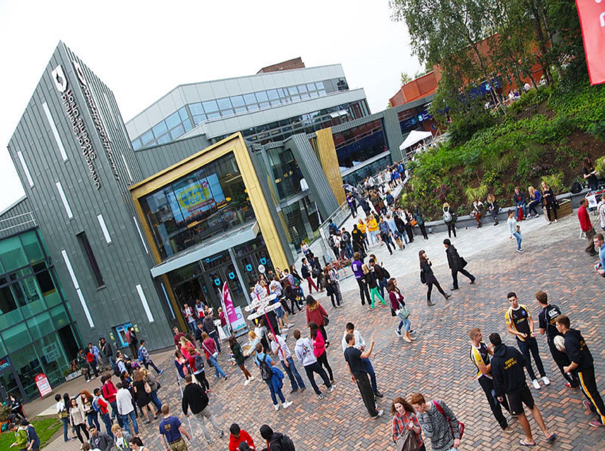 The former Sheffield University Student Union officer has spoken out against violence on campus