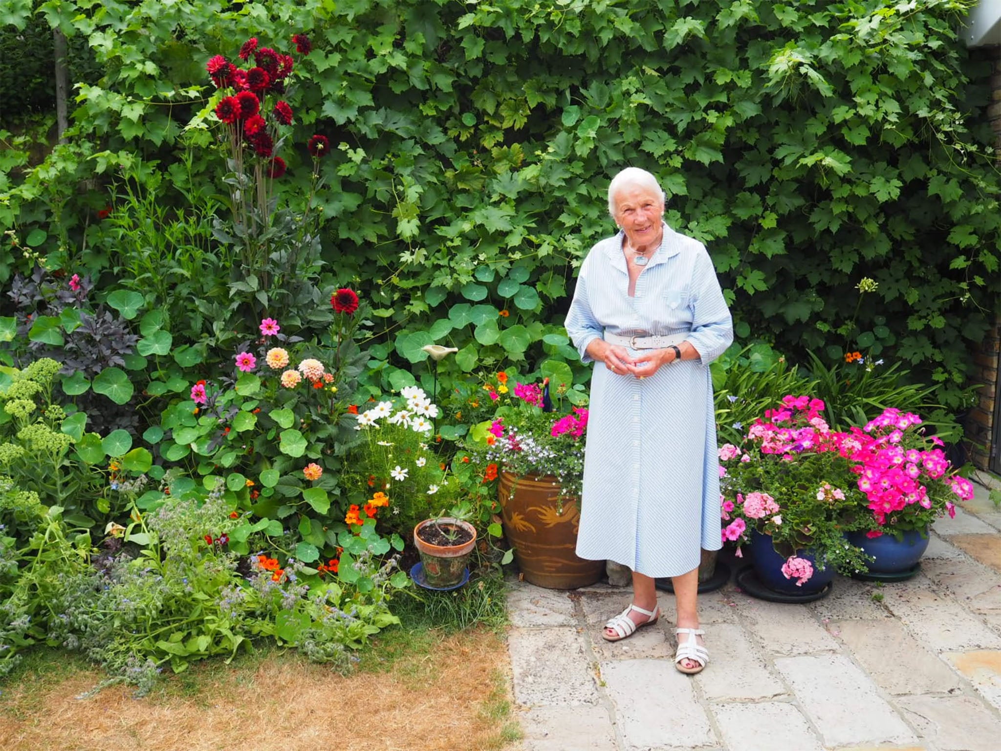 'Rather like Mary Berry, I first worked in the electricity board showroom demonstrating how to use ovens to people'