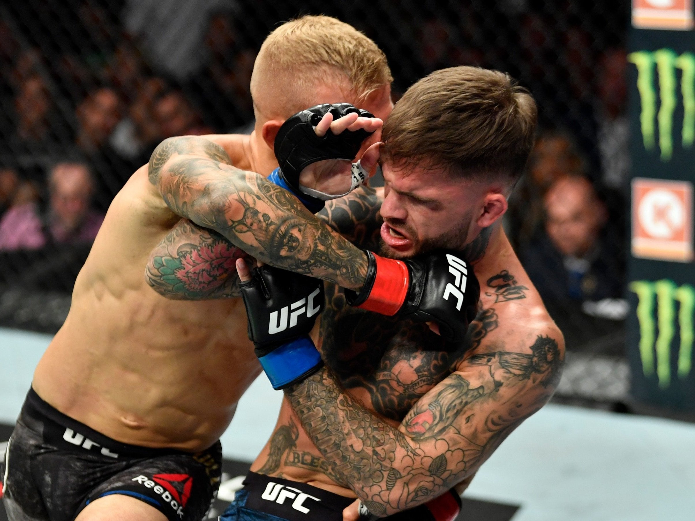 Dillashaw stopped Garbrandt with a flurry of punches and knees towards the end of the first round