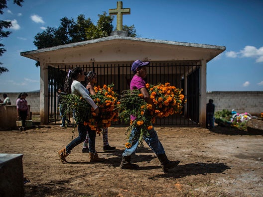 Youth carry bouquets of cempasuchil flowers in a cemetery at the outskirt of Patzcuaro ( Miguel Tovar/LatinContent/Getty Images)