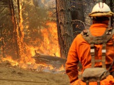 California governor asks Trump for second disaster declaration during historic fire season