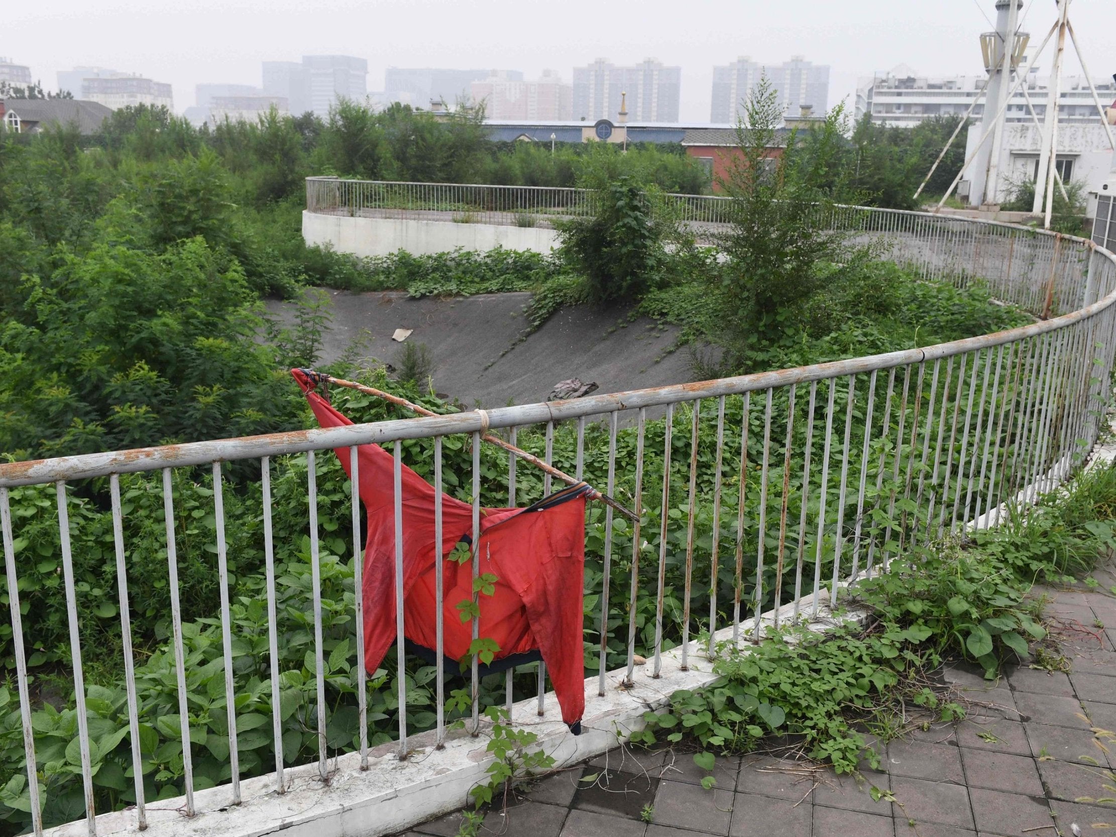 Trees and weeds growing on a banked corner of the BMX track