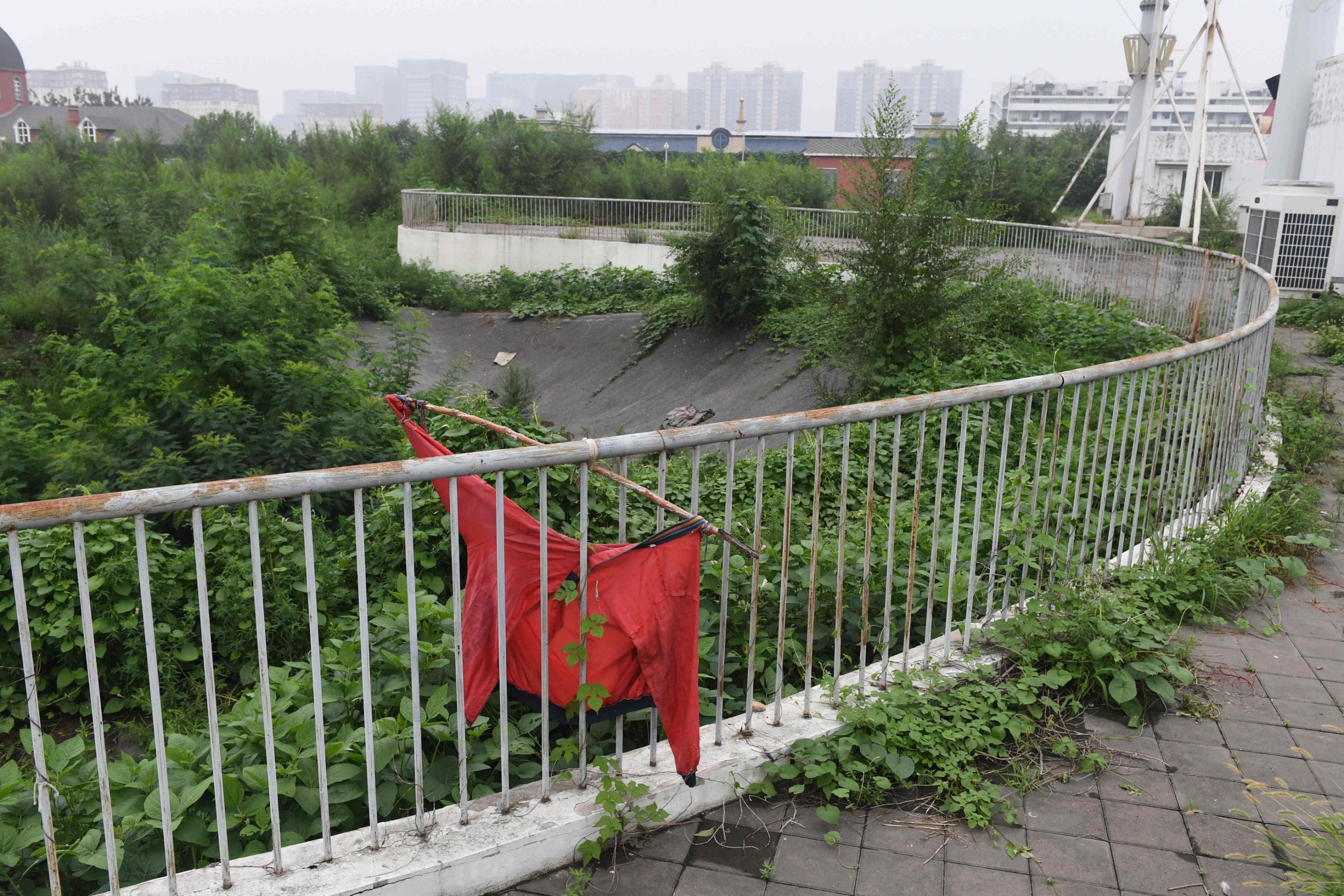 This photo taken on July 18, 2018 shows trees and weeds growing on a banked corner of the BMX track