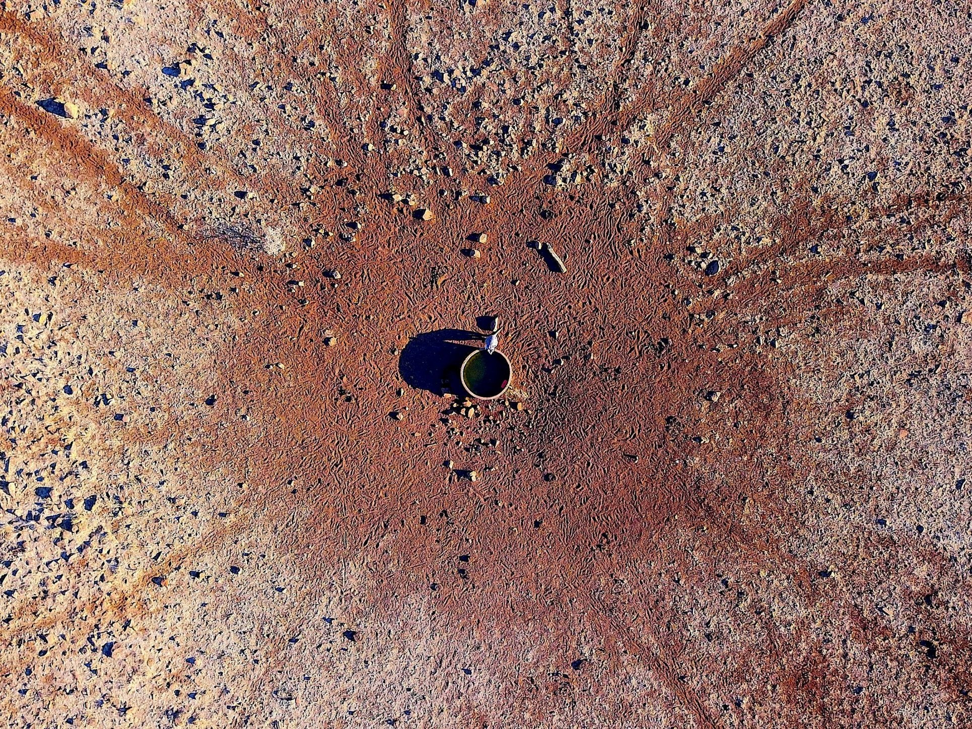 A kangaroo casts a shadow as it drinks from a water tank in a drought-effected paddock west of the town of Gunnedah in New South Wales