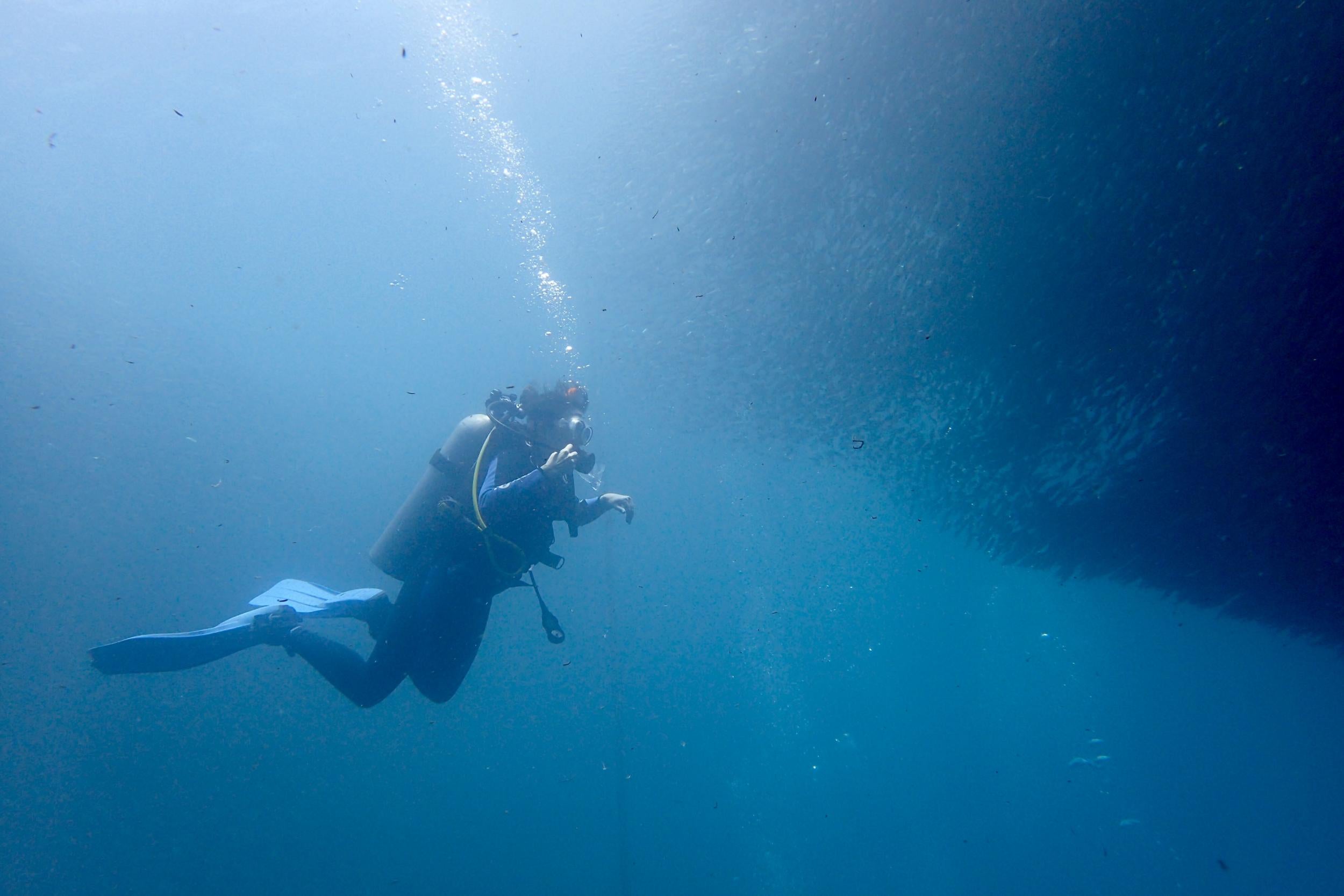 The Philippines is the perfect place to learn to dive