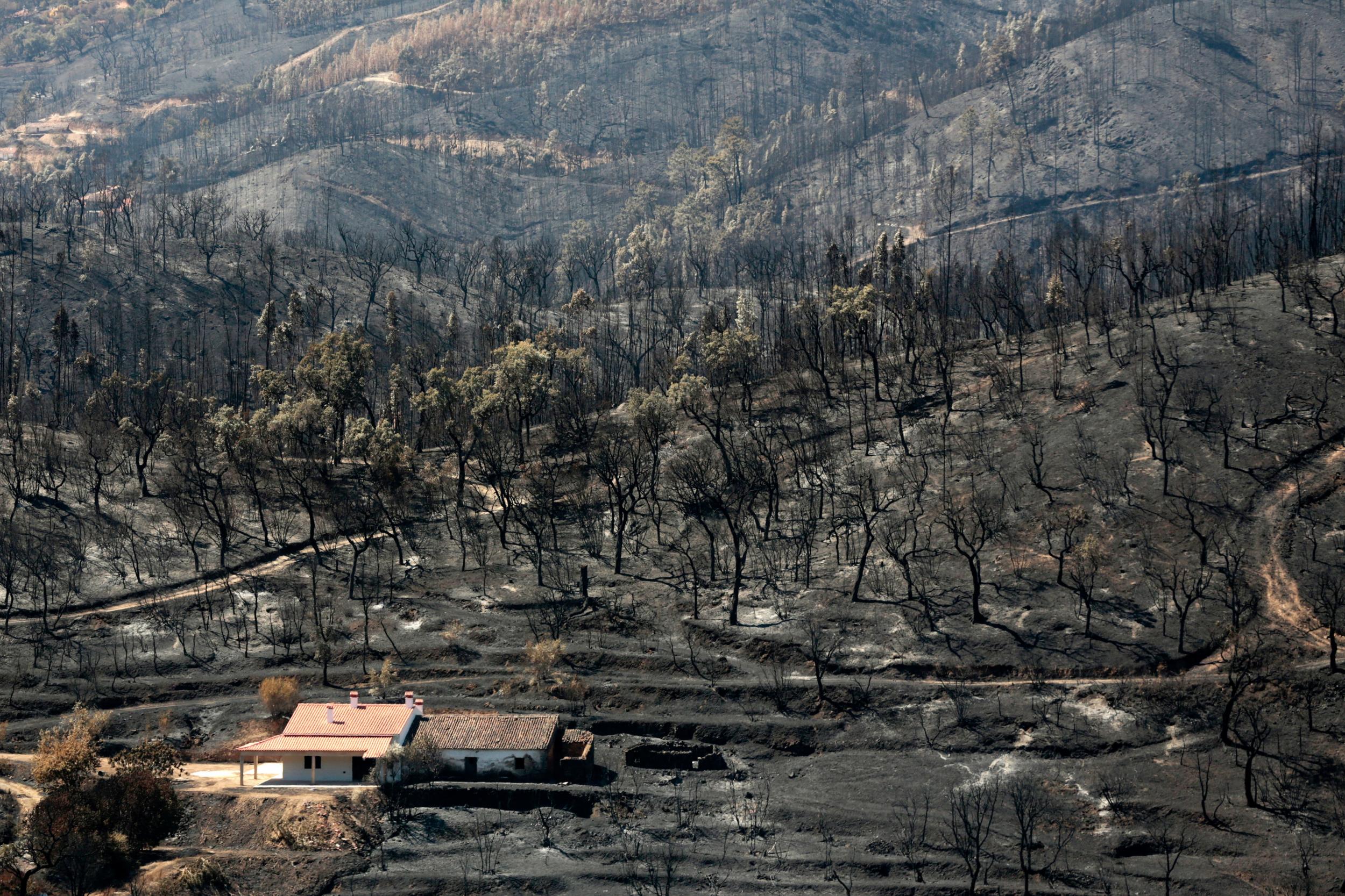 Areas ravaged by the forest fire in the Monchique area in southern Portugal