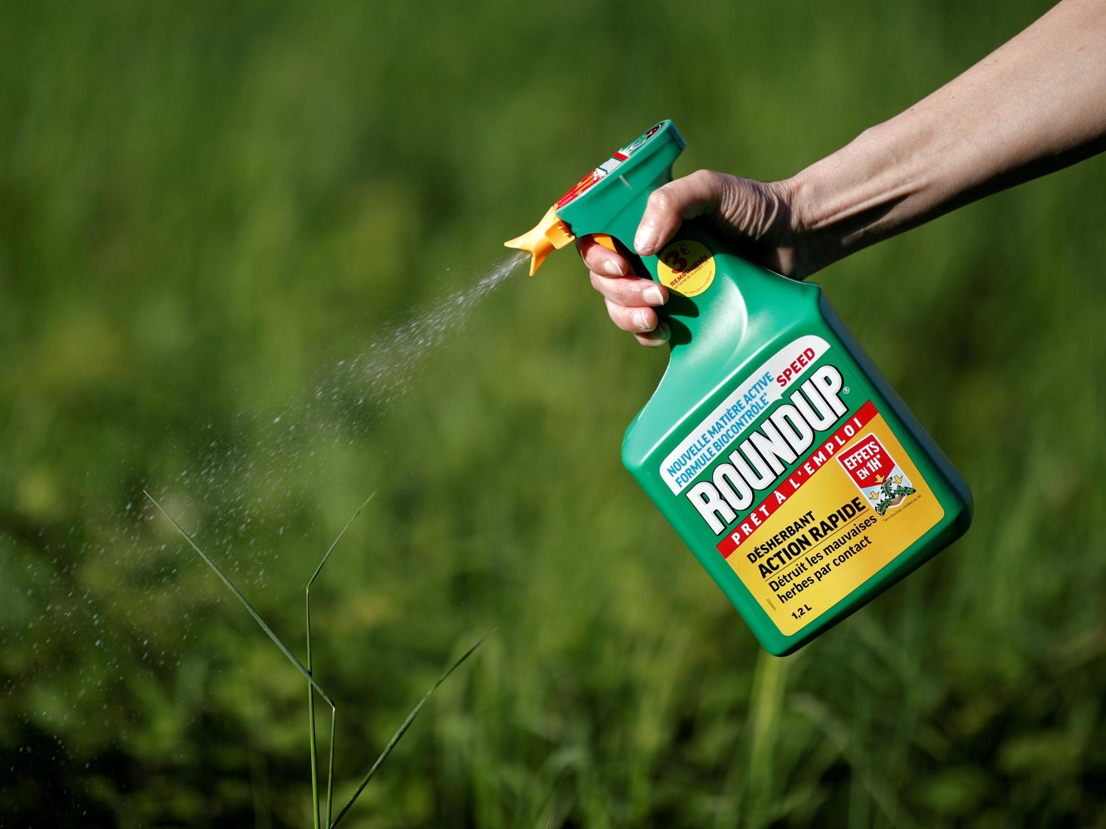 Monsanto’s Roundup weedkiller is popular among gardeners and is widely available