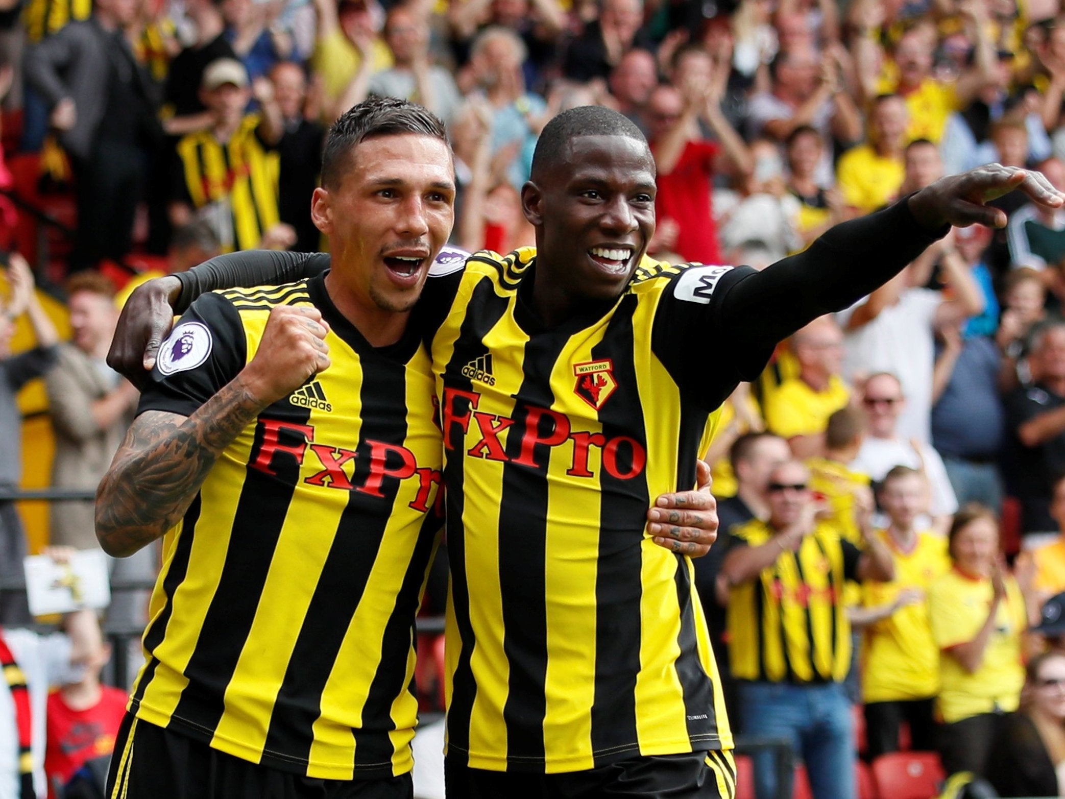 Roberto Pereyra celebrates after giving Watford the lead against Brighton and Hove Albion