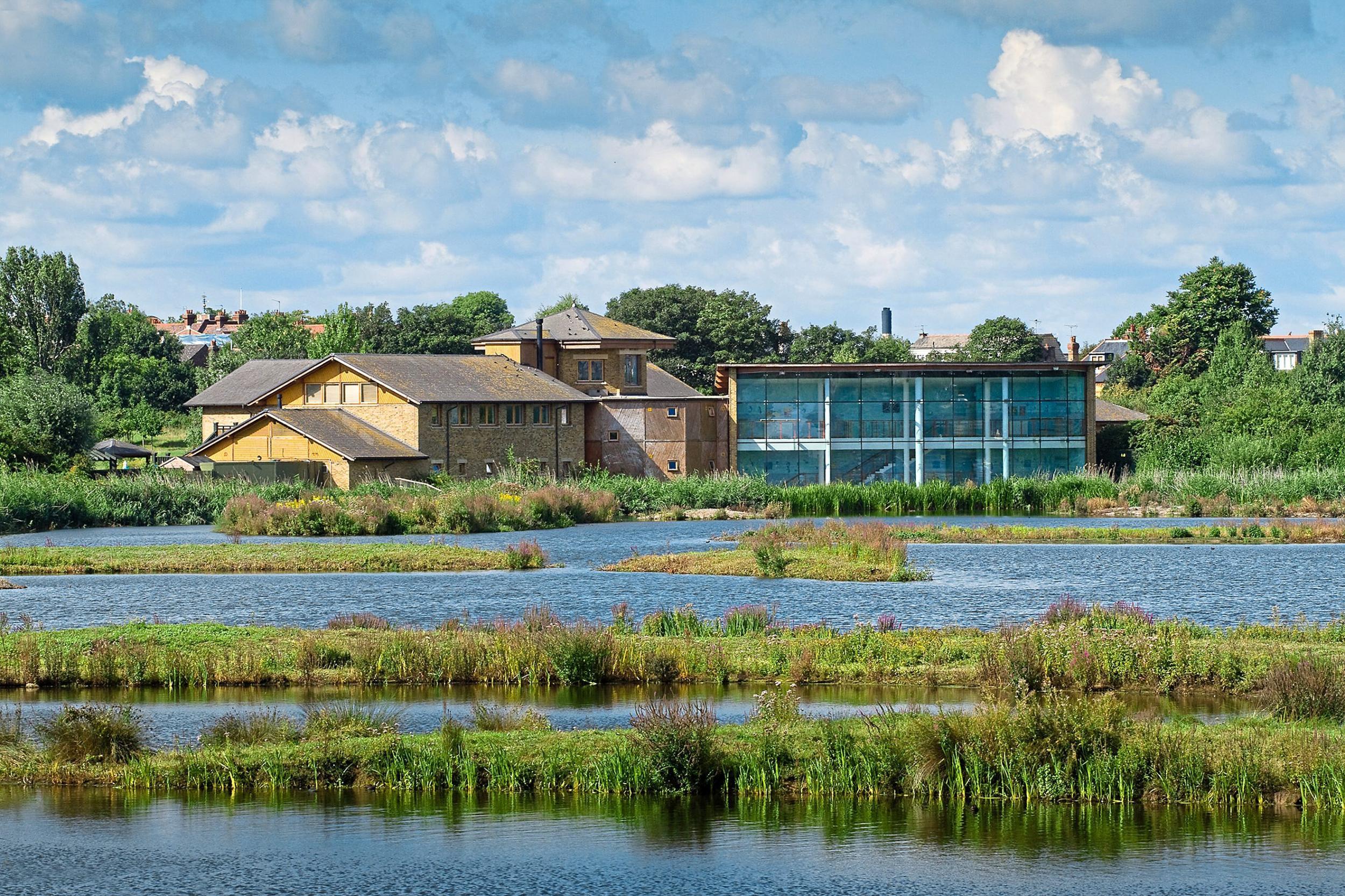 An urban oasis: the marshlands are also home to otters, frogs, butterflies and rare insects