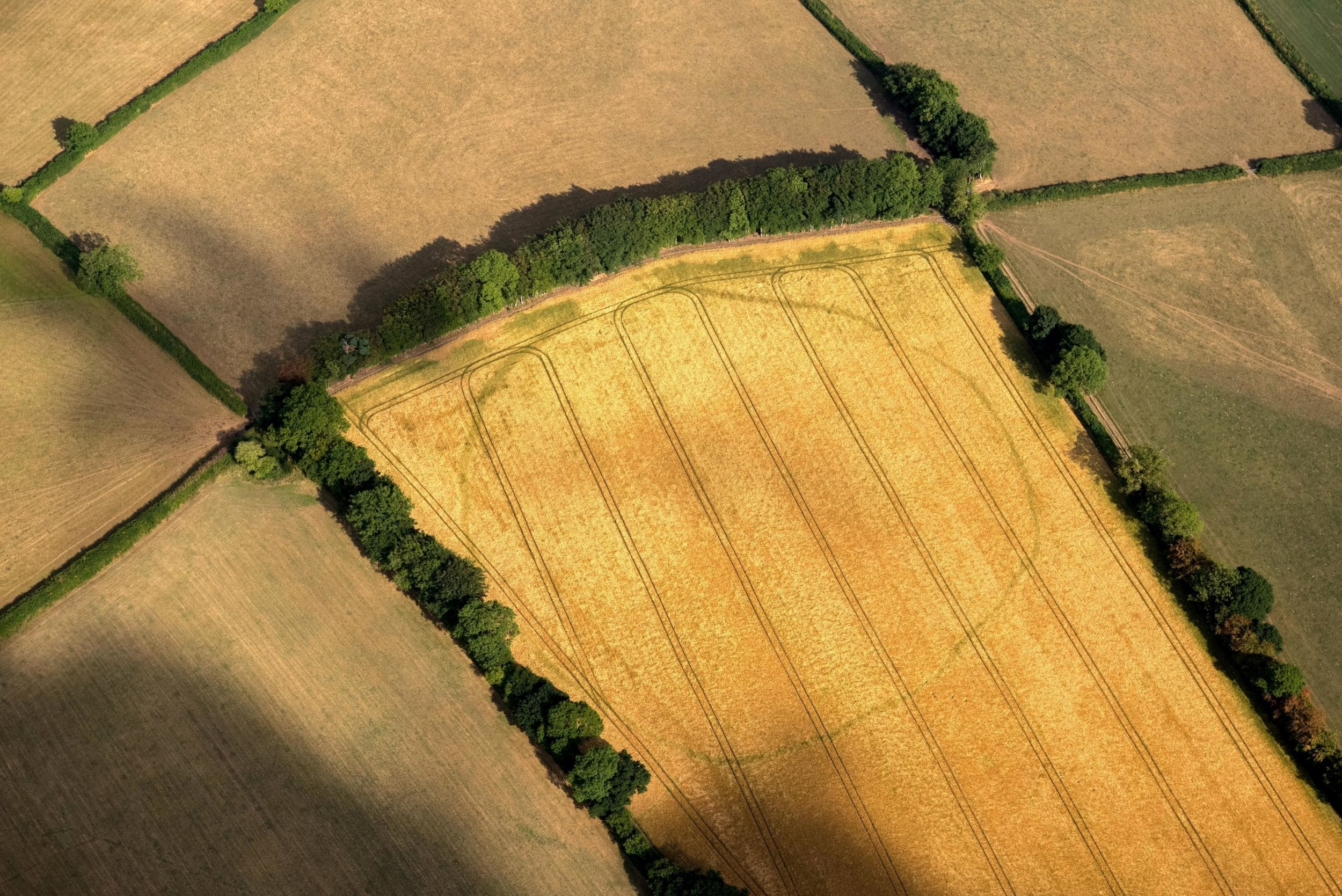 A prehistoric enclosure spotted near Churchstanton in Somerset