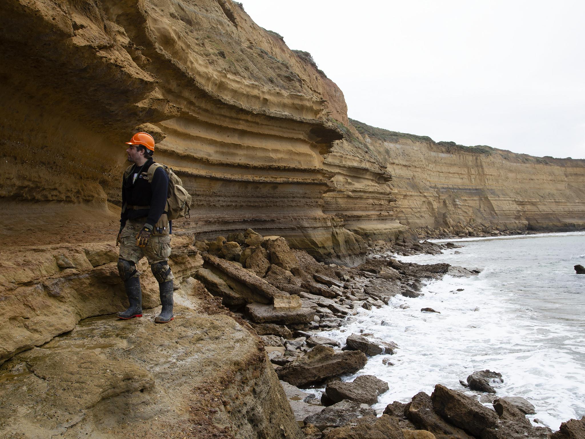 &#13; Erich Fitzgerald, a paleontologist at the Museums Victoria in Melbourne, near the site where fossilized teeth belonging to Carcharocles angustidens, a prehistoric shark, were found&#13;