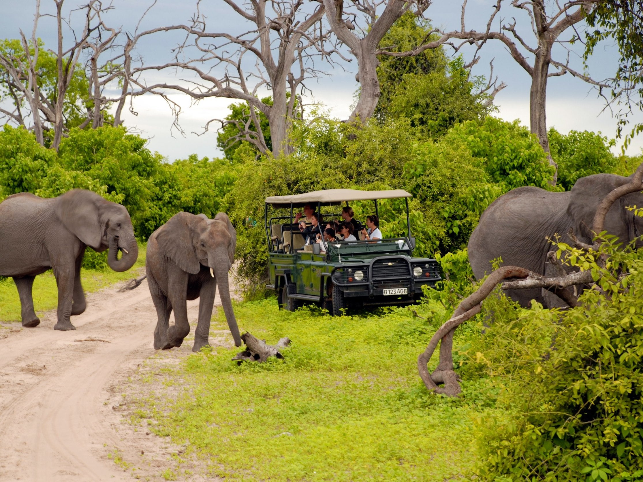 Going on safari is more of a priority for men