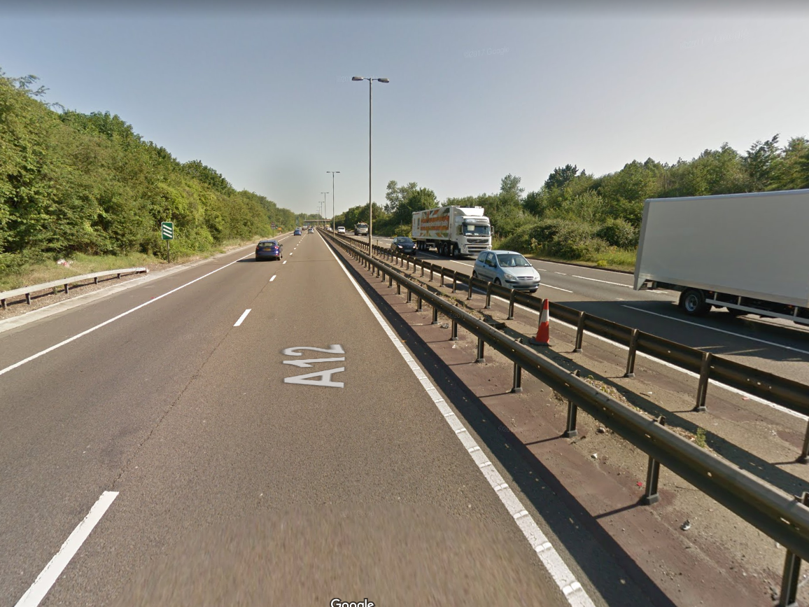 Nine cows die on A12 after straying onto dual carriageway