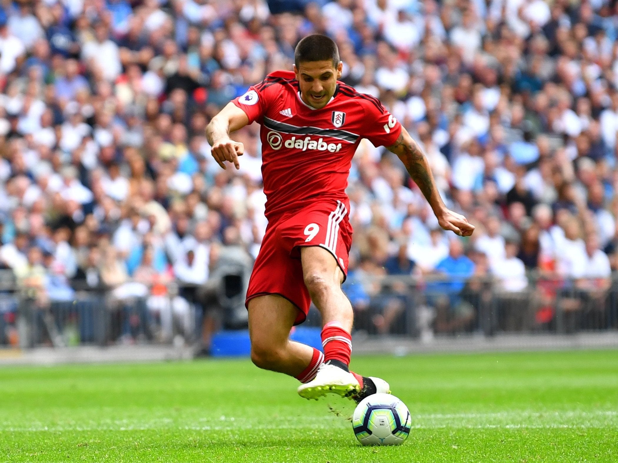 Aleksandar Mitrovic fires home Fulham's equaliser