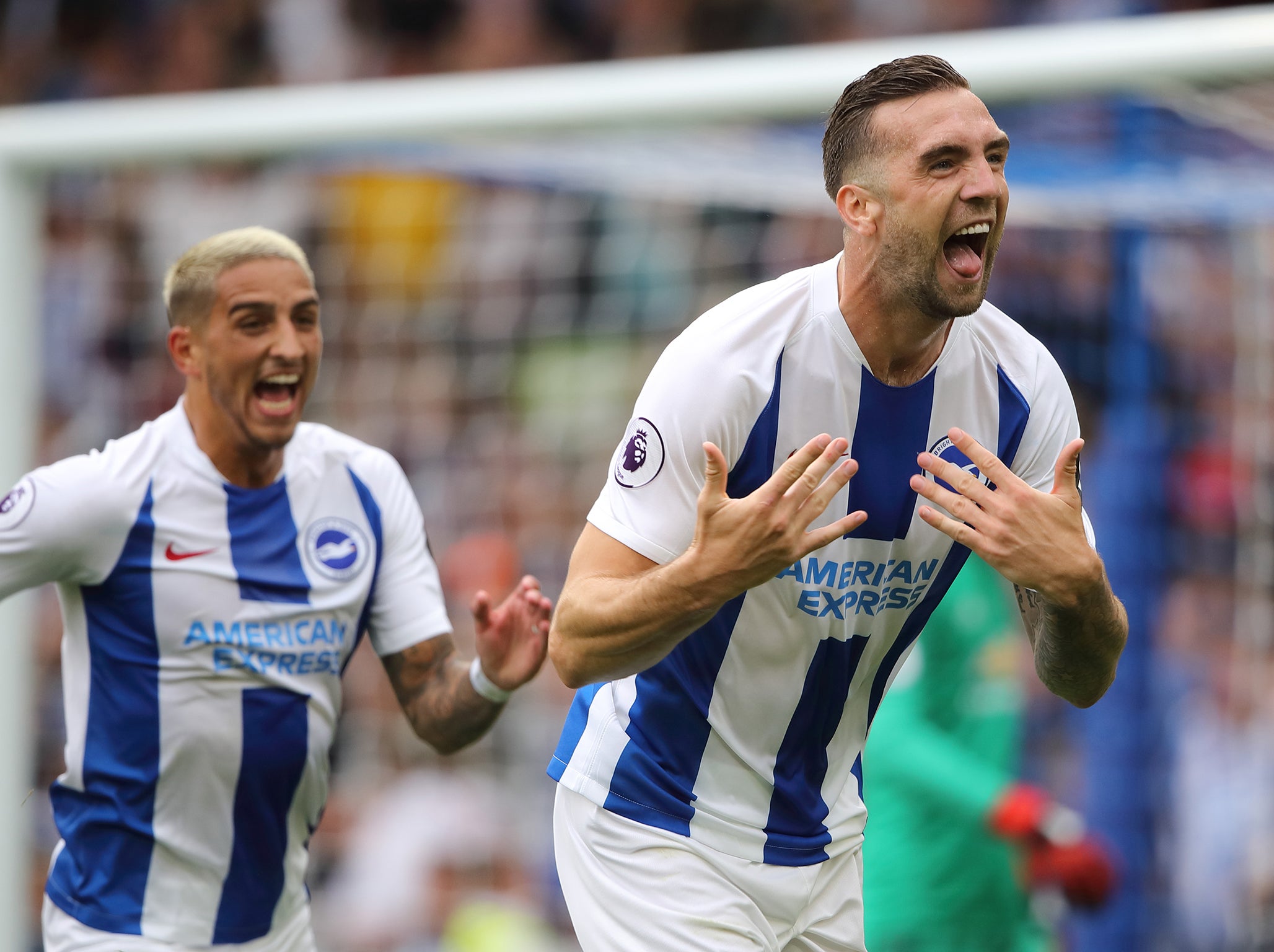 Brighton were impressive in their victory against Manchester United