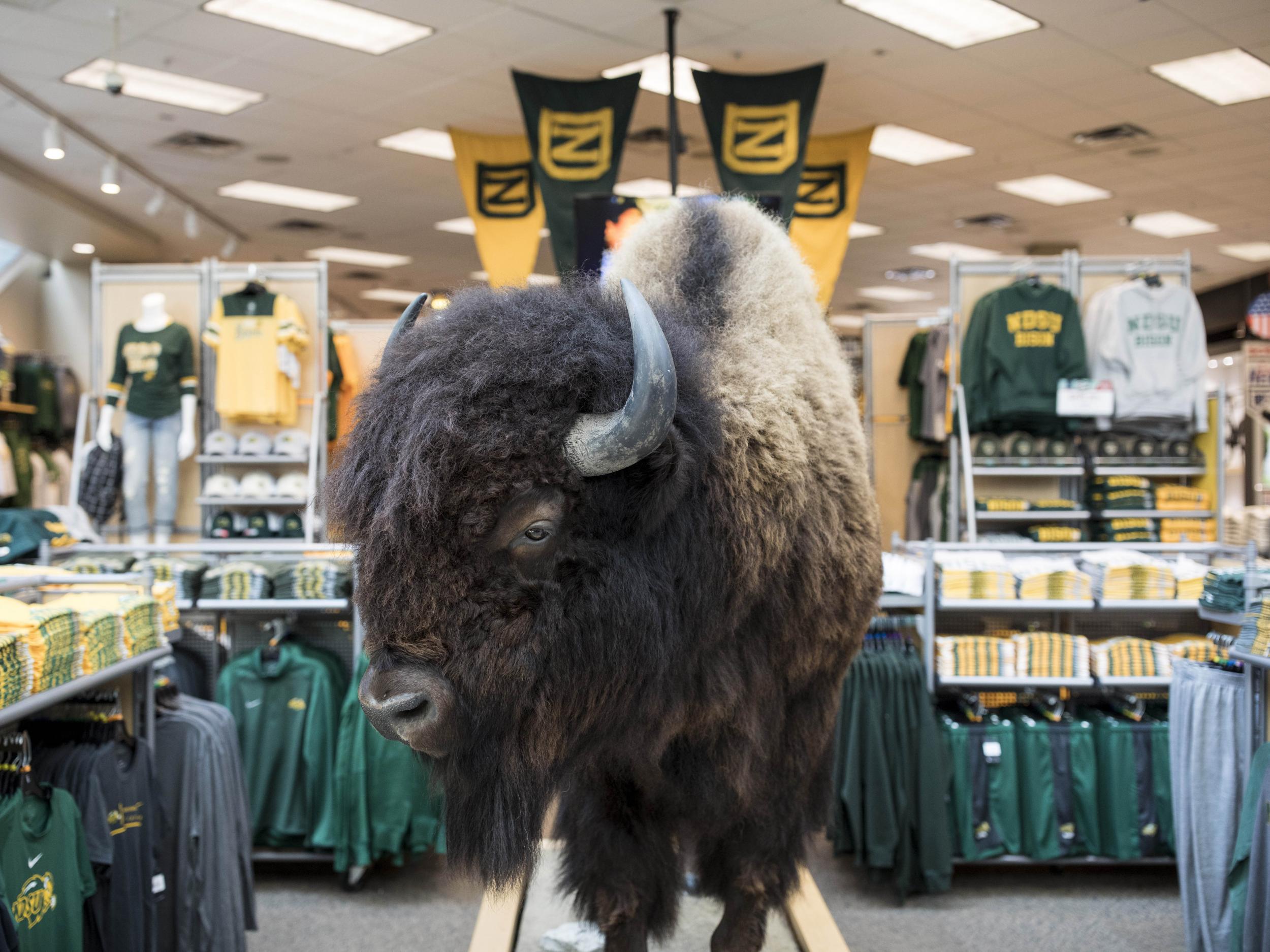 Fargoans are serious about their North Dakota State Bison