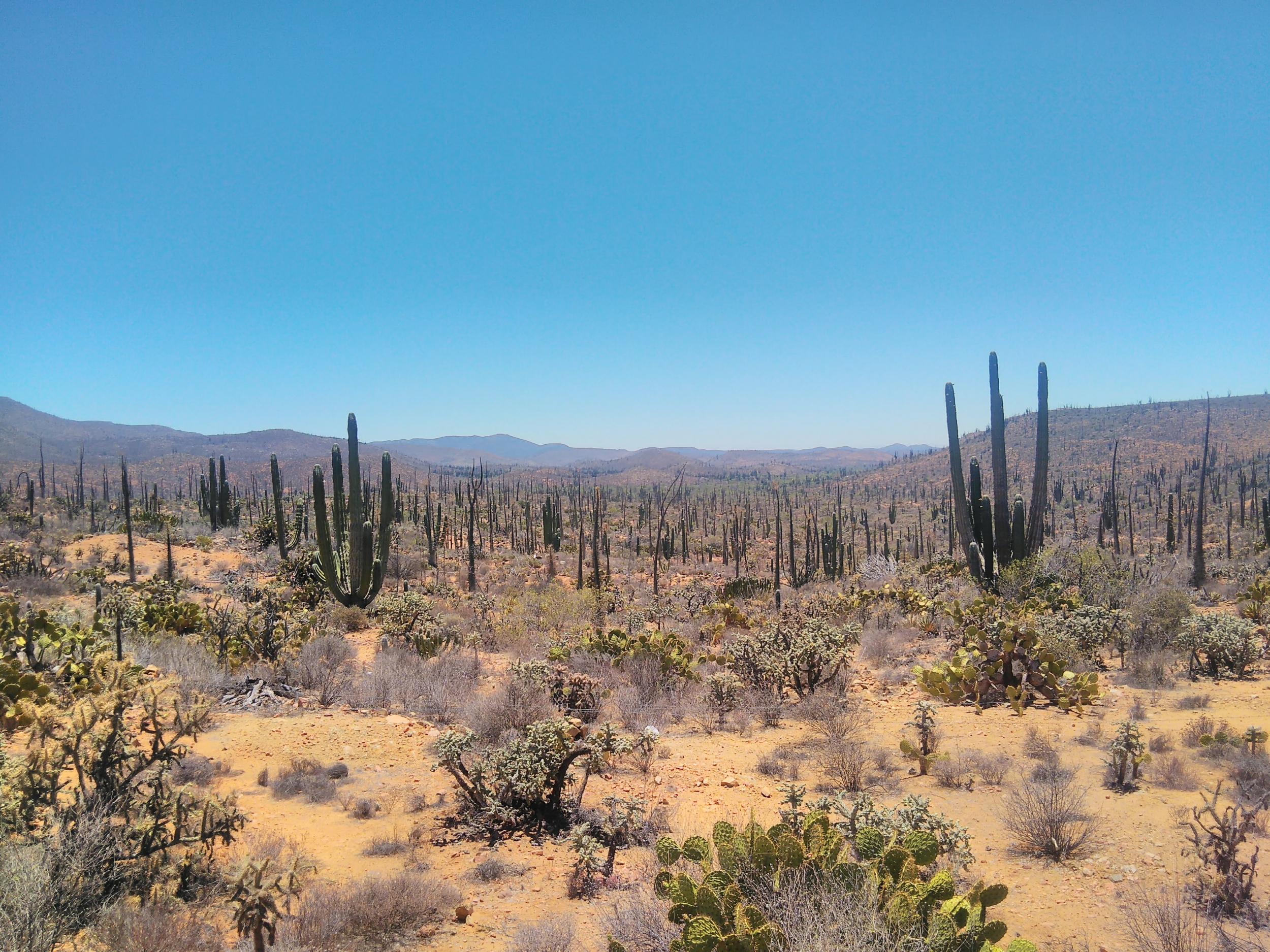 The harsh desert landscape gives way to pristine beaches