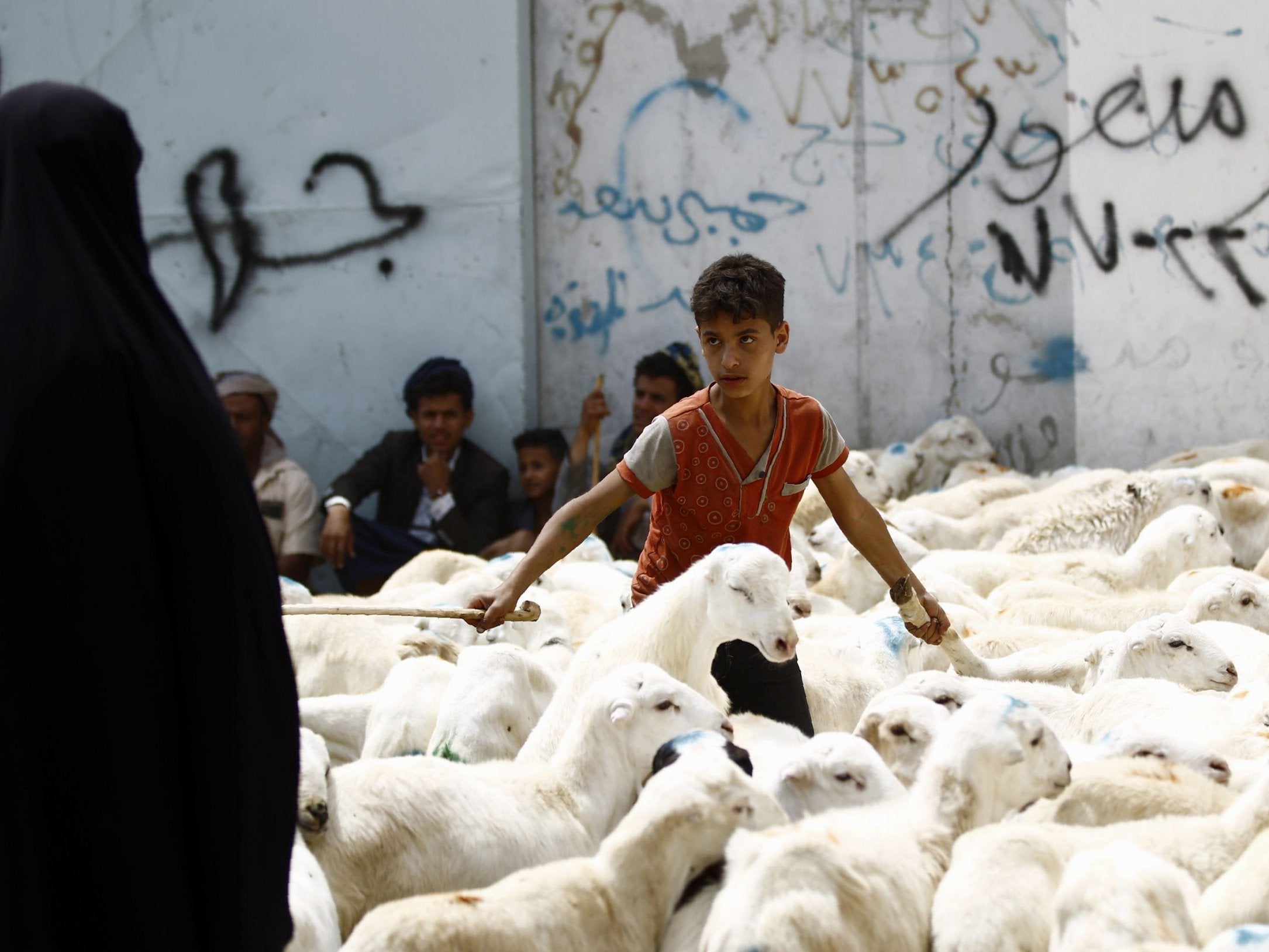 A Yemeni boy stands among a herd of sheep in a livestock market in the capital Sanaa as people buy provisions in preparation for the Eid al-Adha celebrations