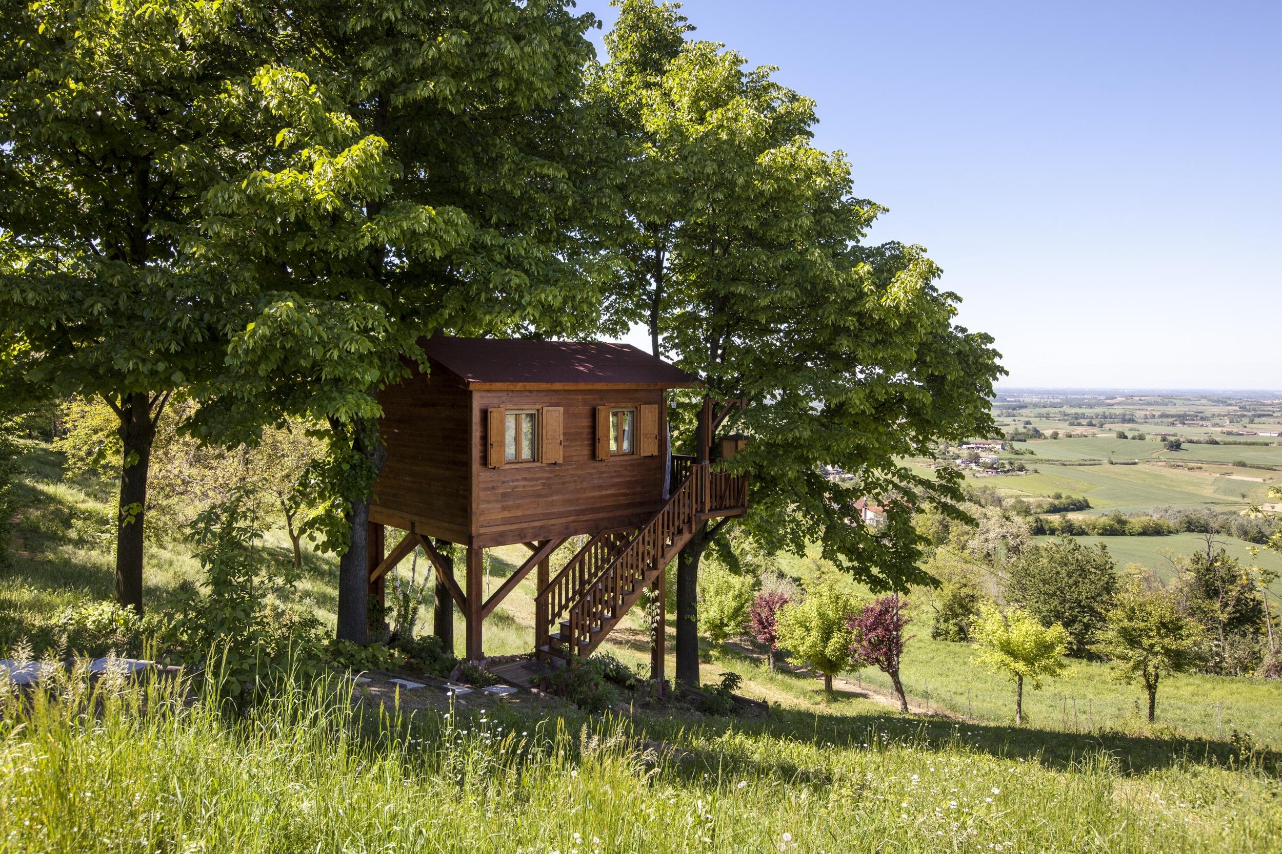 Treehouses just got sophisticated