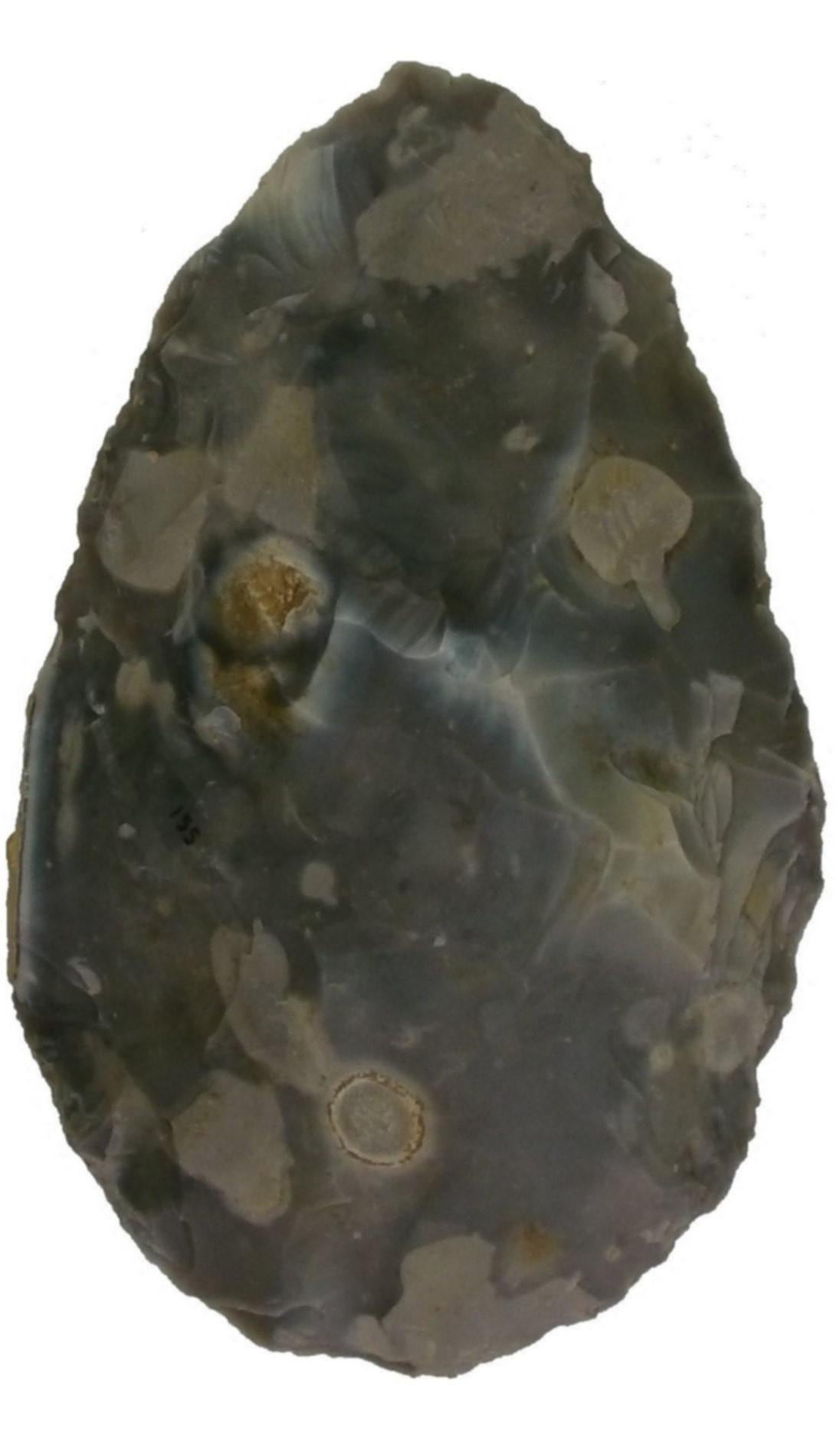 A beautifully crafted flint hand axe made by prehistoric toolmakers at Boxgrove, West Sussex, half a million years ago