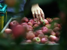 Heatwave and 'Beast from the East' behind ‘incredible bounty' of fruit