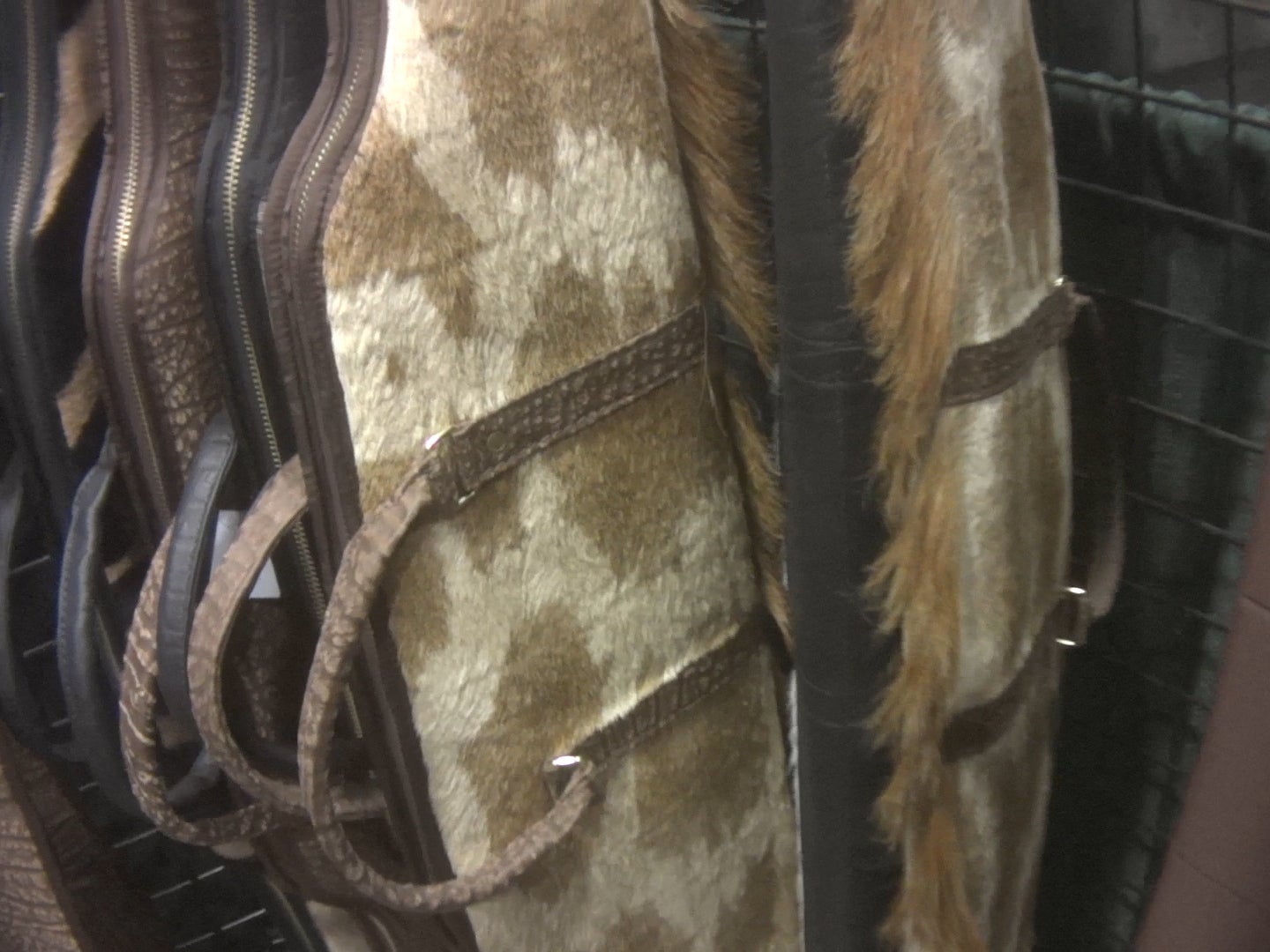 Giraffe-hide-covered gun cases were openly on sale