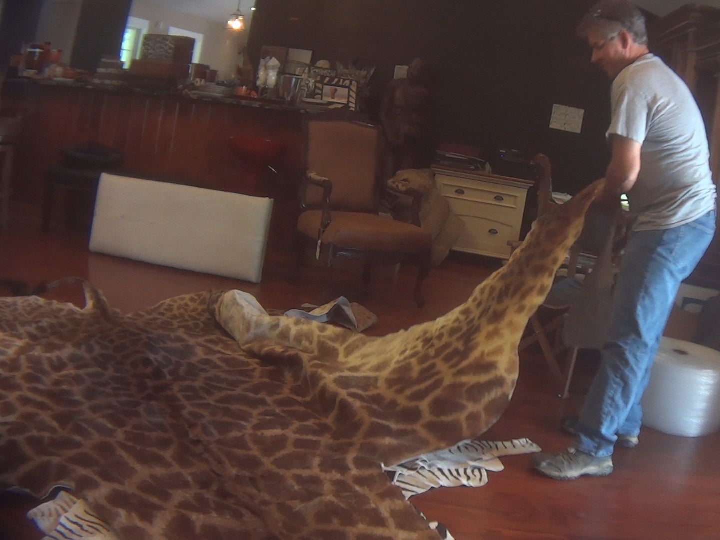 A full giraffe skin was among items found legally on sale