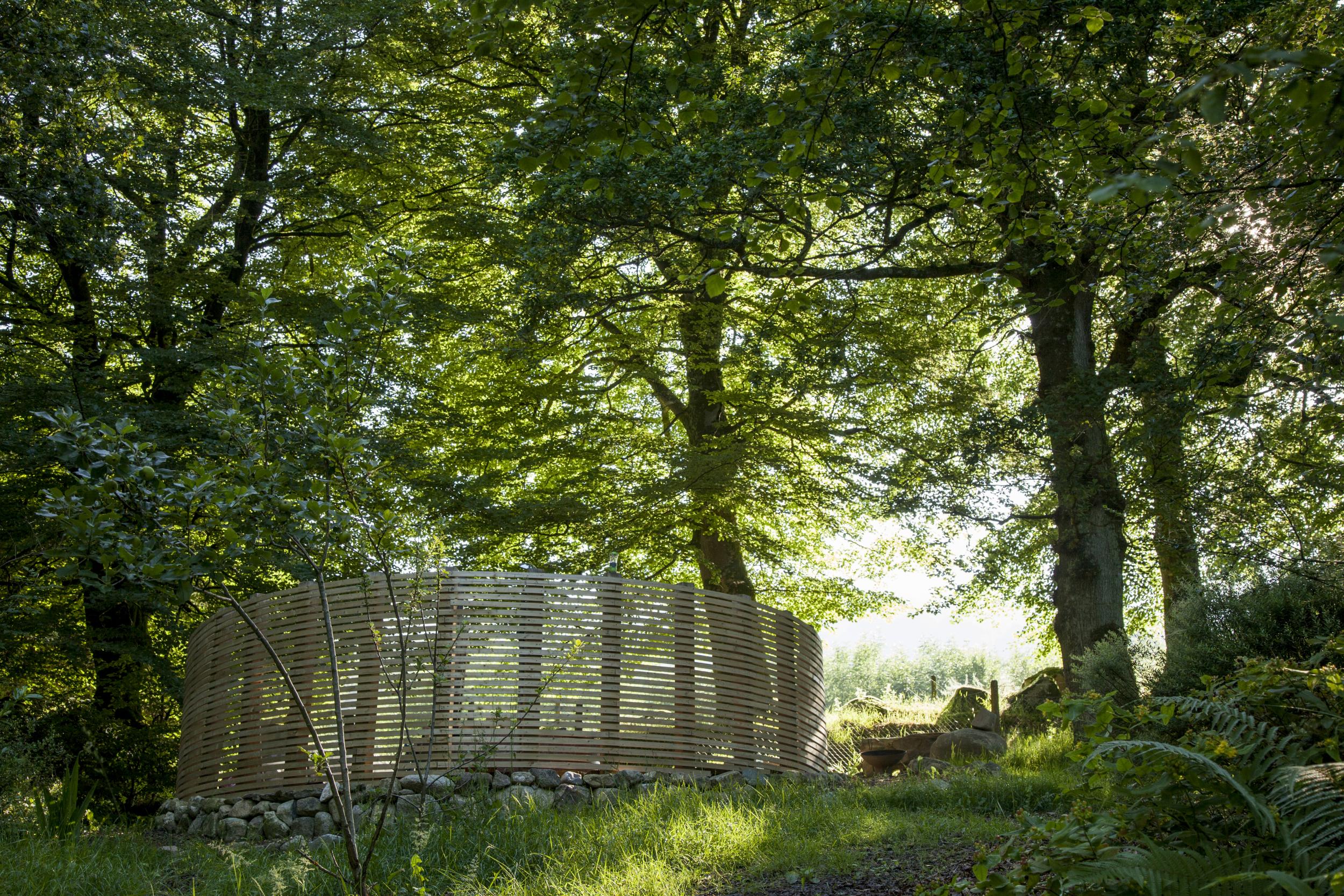 Guests are free to explore the surrounding forest