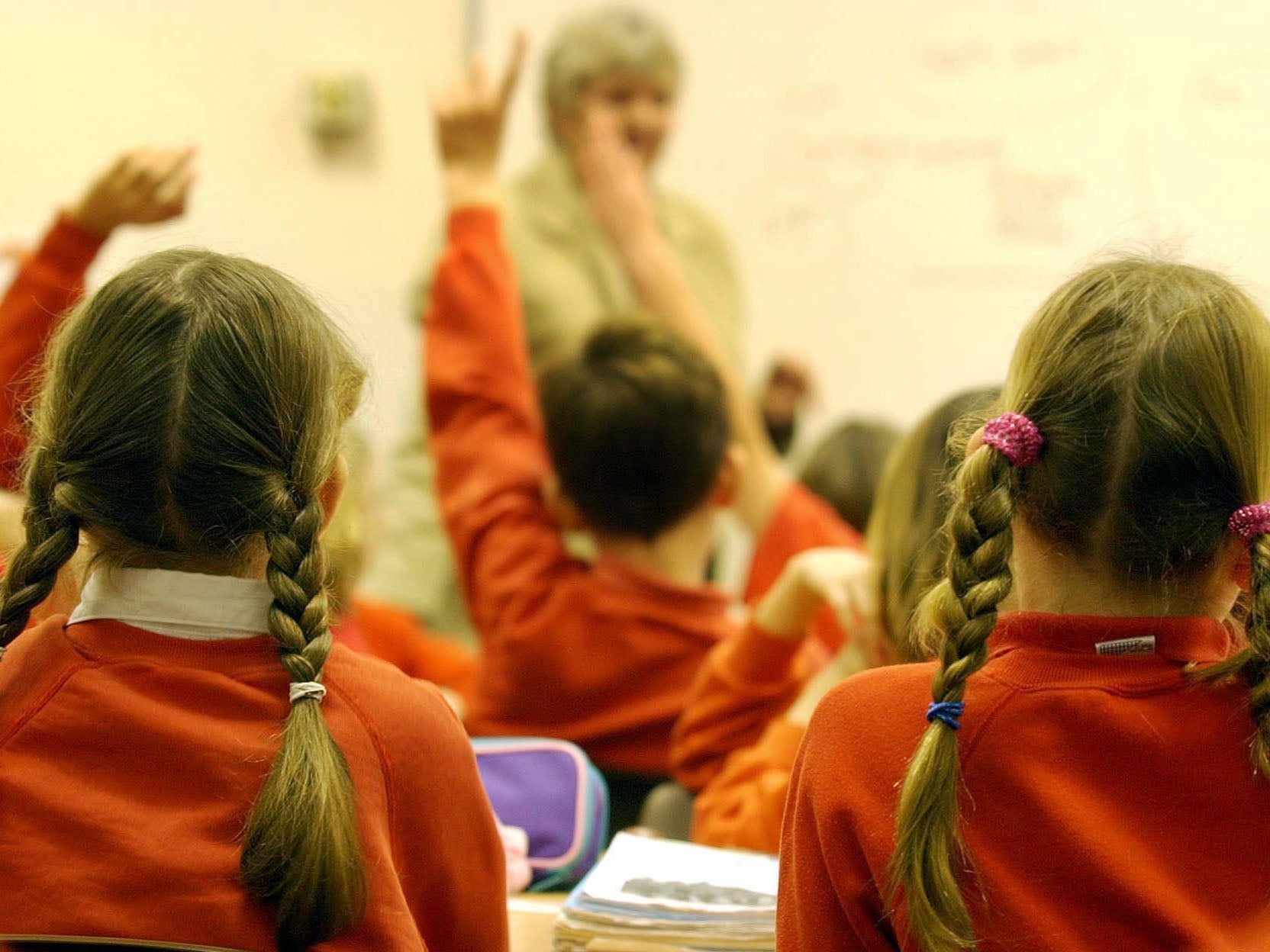 Primary school pupils during lesson