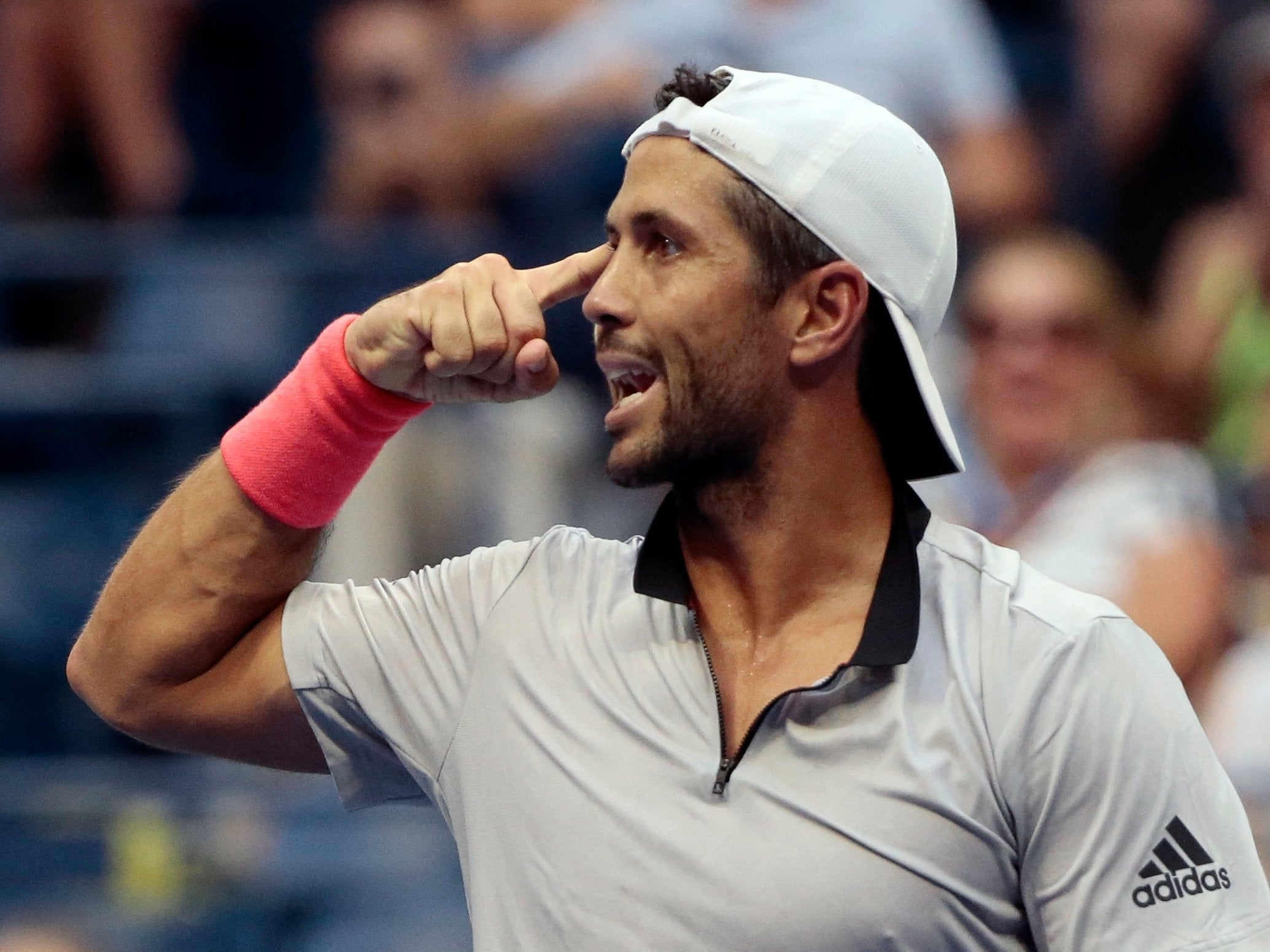 Fernando Verdasco denied Murray's accusations of speaking to his coach