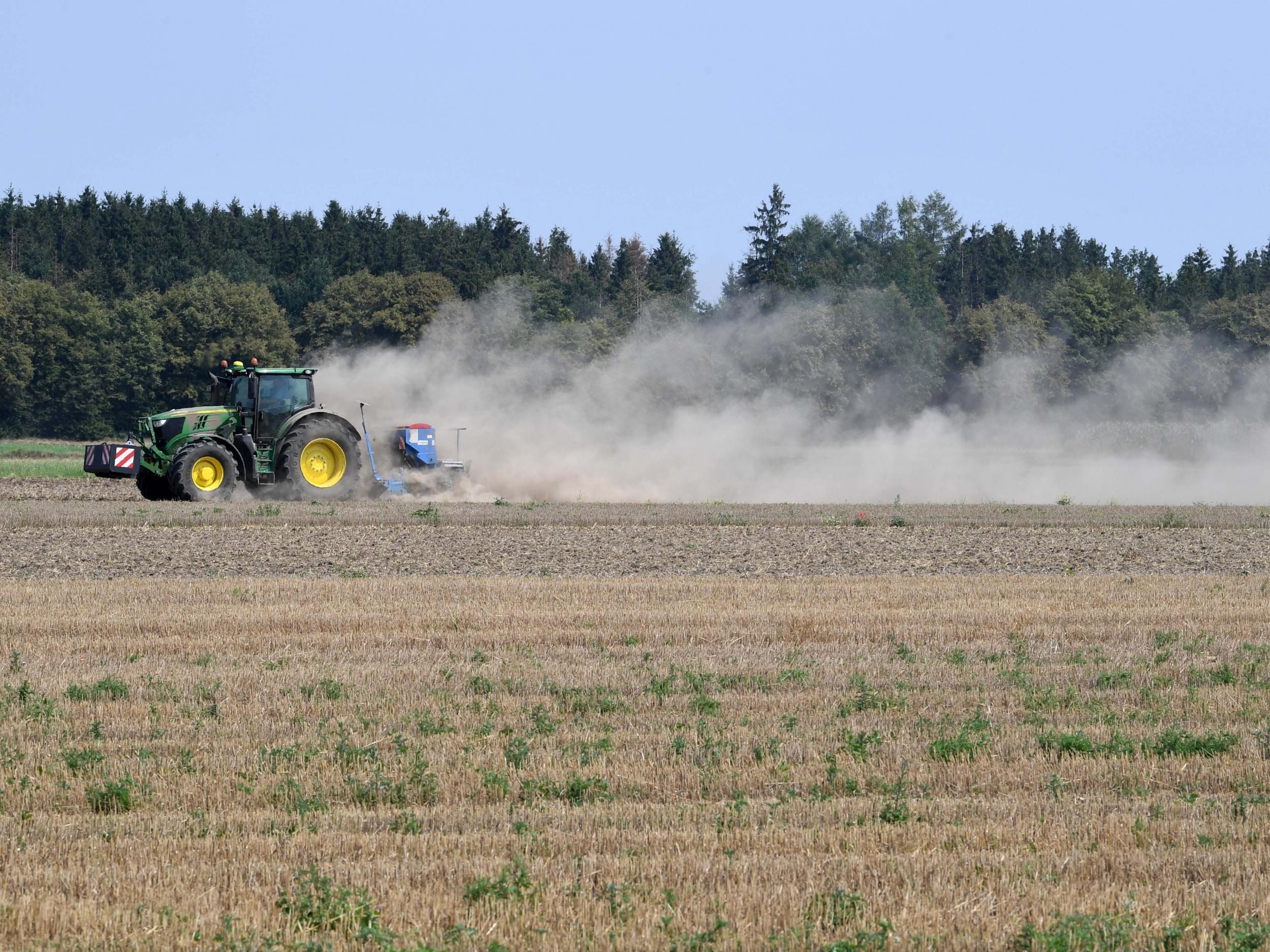 The extremely dry conditions in early summer took their toll on harvests