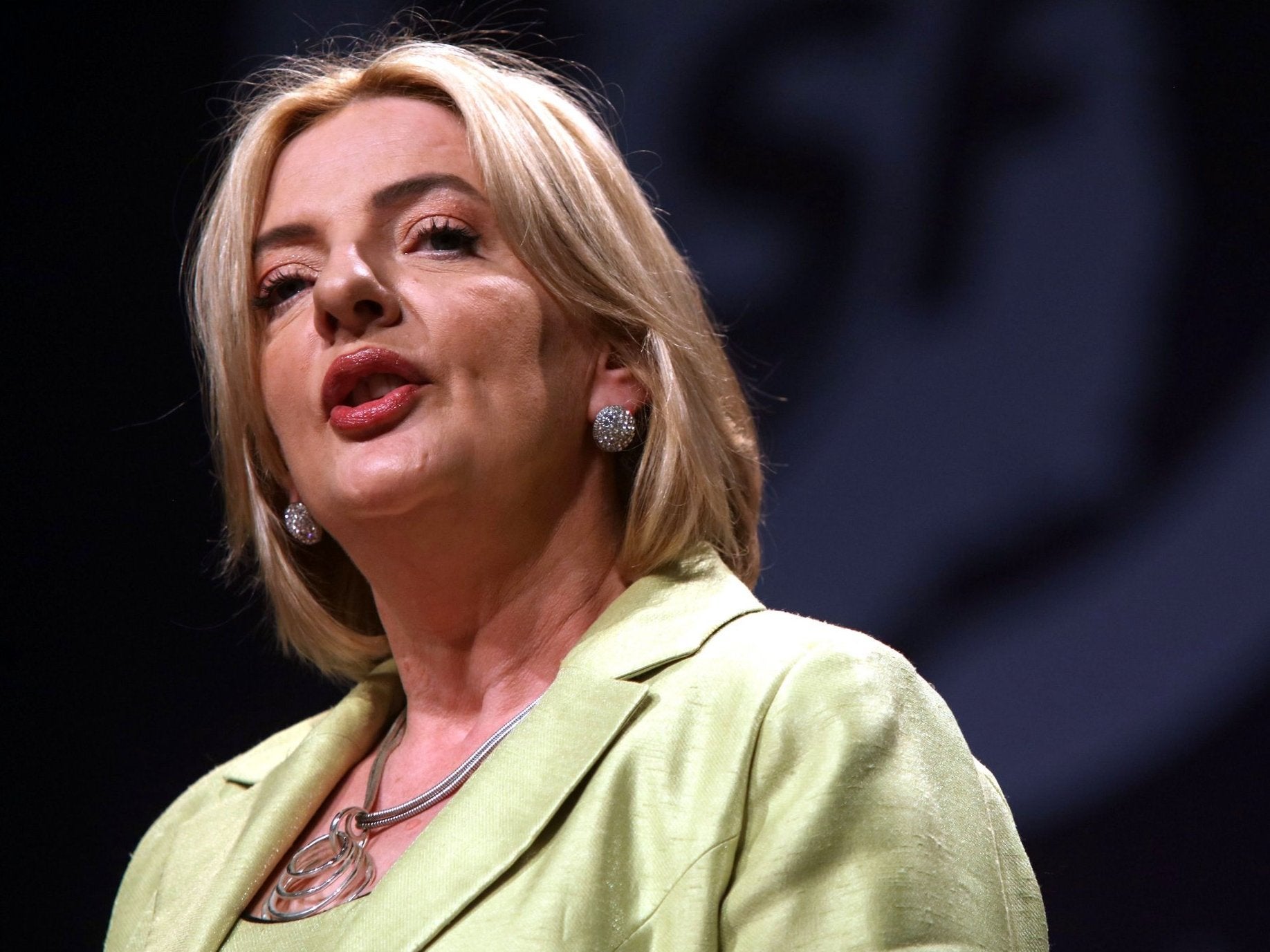 Liadh Ni Riada is Sinn Fein's candidate to contest the Irish presidential election on 26 October