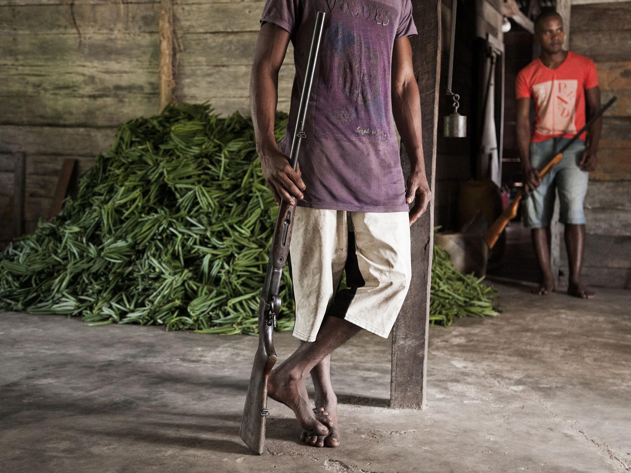 Armed guards look after the crop in a farmer’s barn 30 kms from Sambava, Madagascar. Worth $50 a pound in 2013, vanilla’s price has soared to 12 times that price