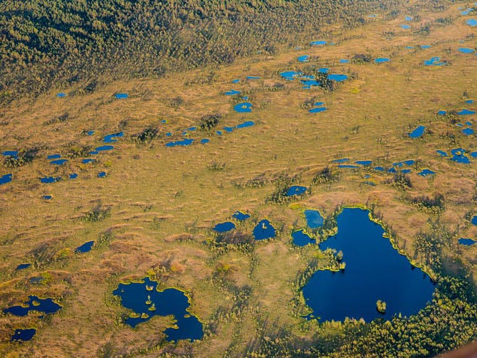 The accumulating peat literally seals and protects evidence of human activity