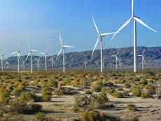 Wind and solar power plants in Sahara could turn desert green