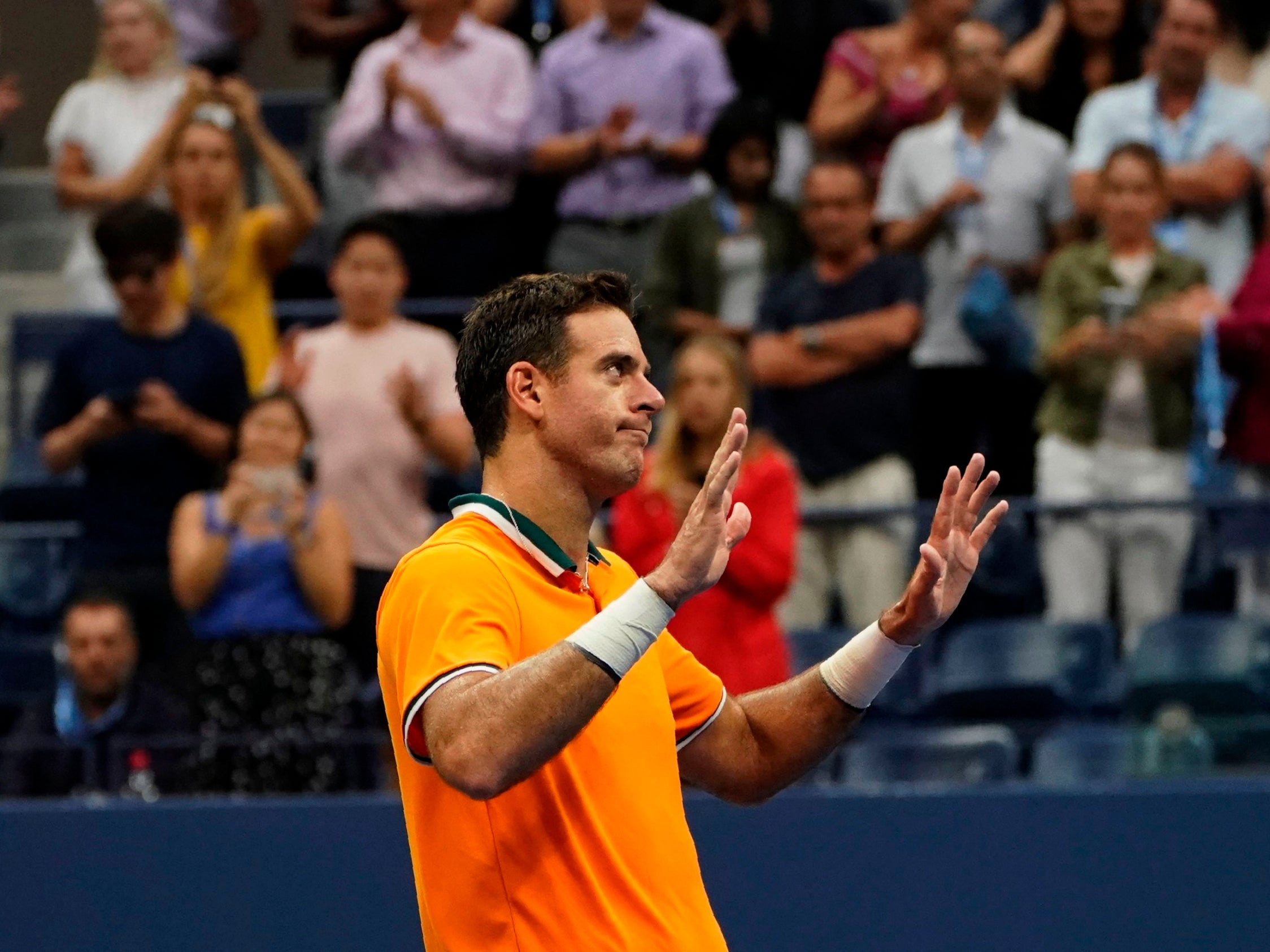 Juan Martin del Potro moved into the US Open final as a result